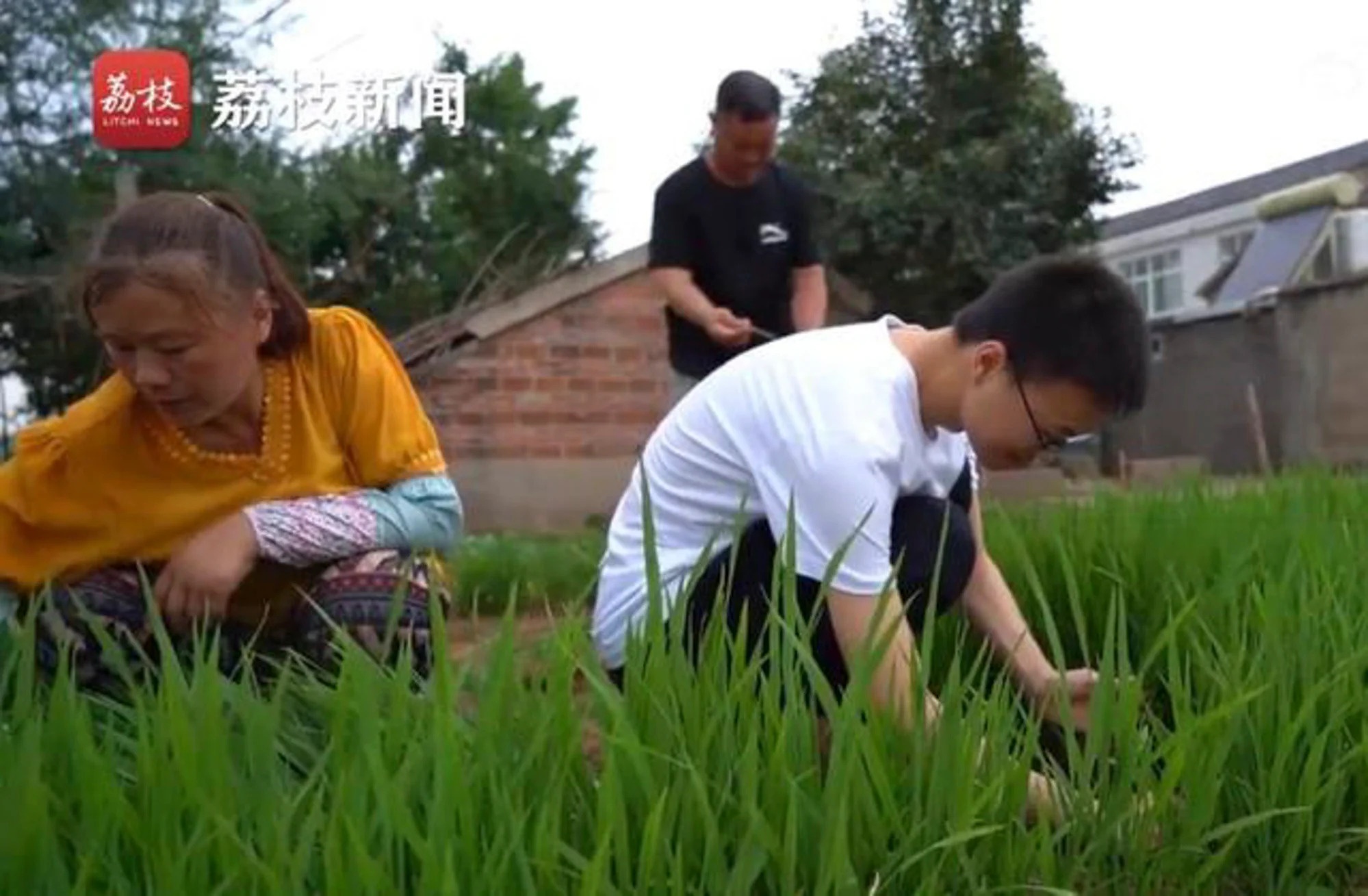 ba me nong thon co con do thanh hoa anh 1