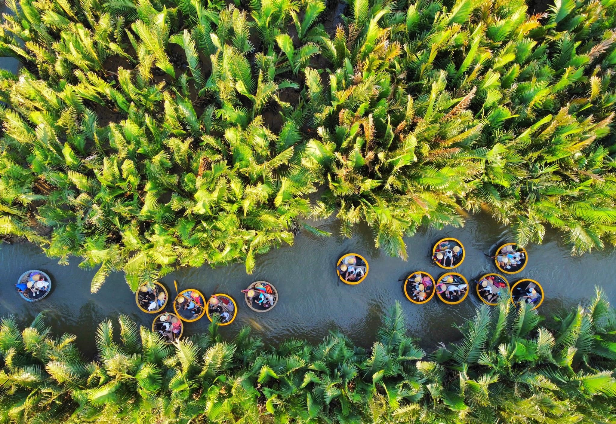 rung dua Bay Mau anh 8