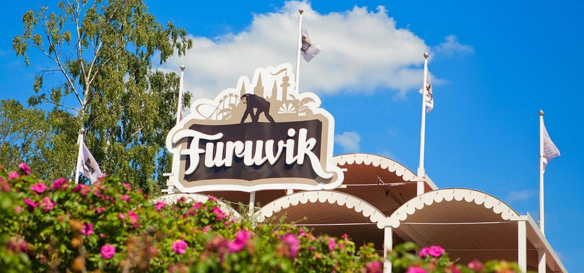 4 con tinh tinh song chuong tai vuon thu Thuy Dien bi ban hinh anh