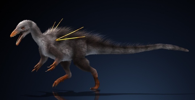 phat hien bi an anh 17