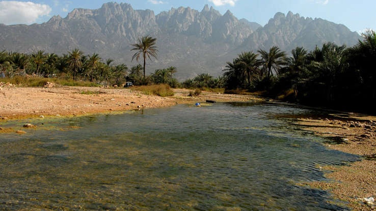 Đảo Socotra ảnh 3 Dao Socotra anh 3