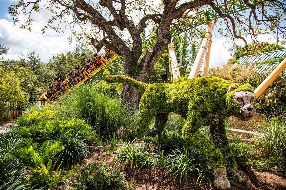 Trai nghiem du lich anh 12