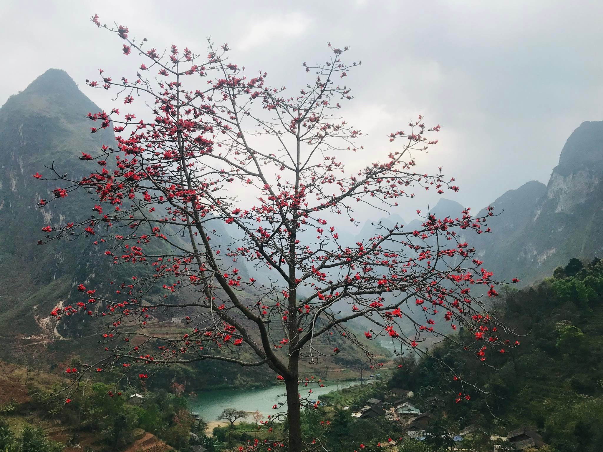 phuot Ha Giang anh 5