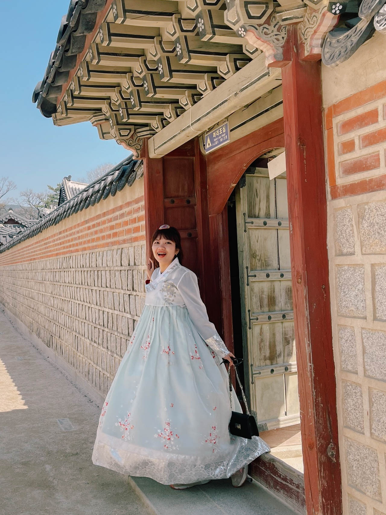 hoa anh đào hàn quốc ảnh 7 hoa anh dao han quoc anh 7