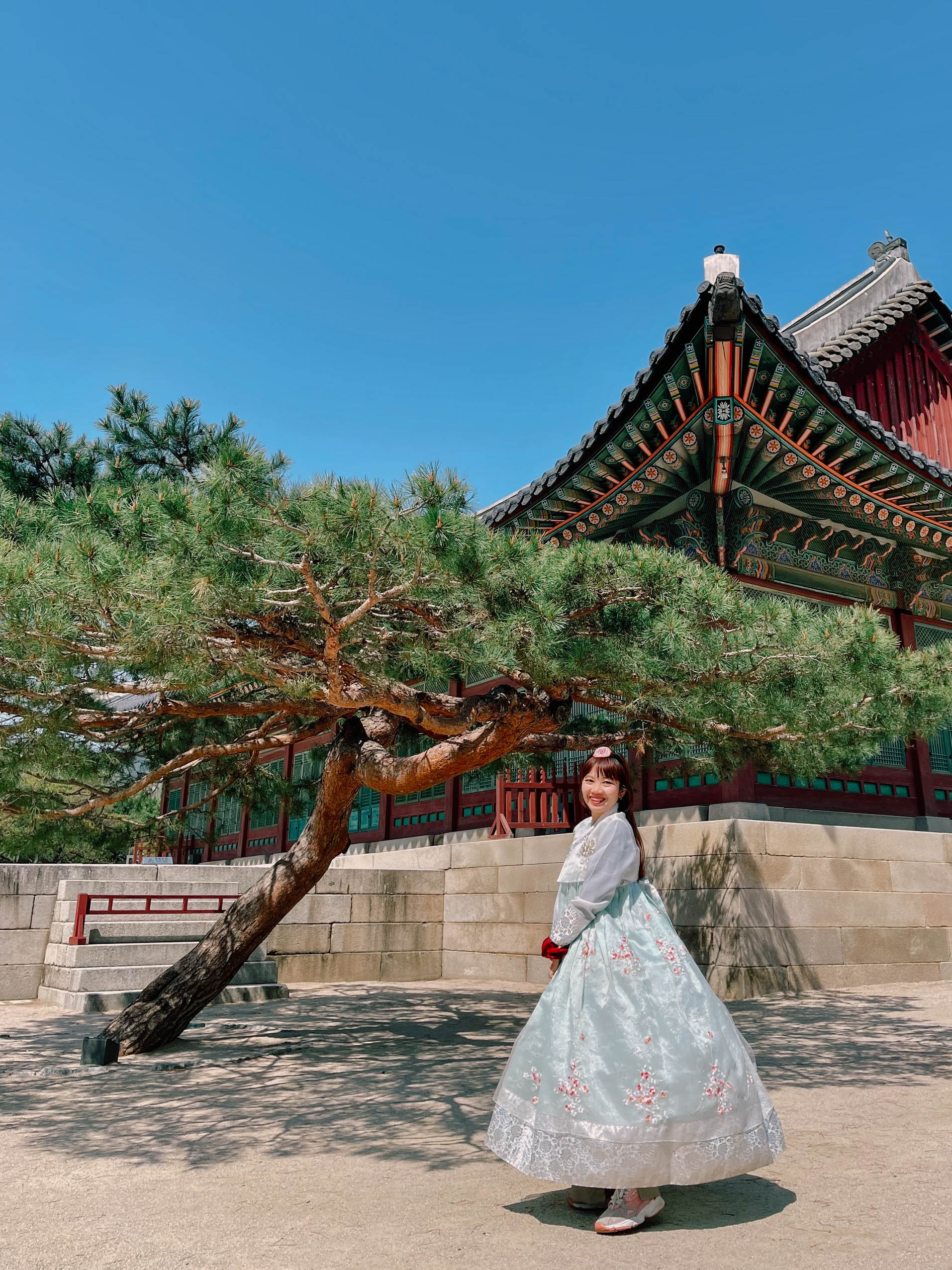 hoa anh đào hàn quốc ảnh 9 hoa anh dao han quoc anh 9