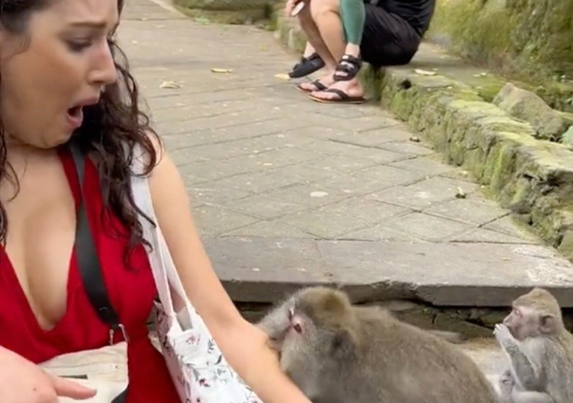 Du khach hot hoang vi bi khi can tai Bali hinh anh