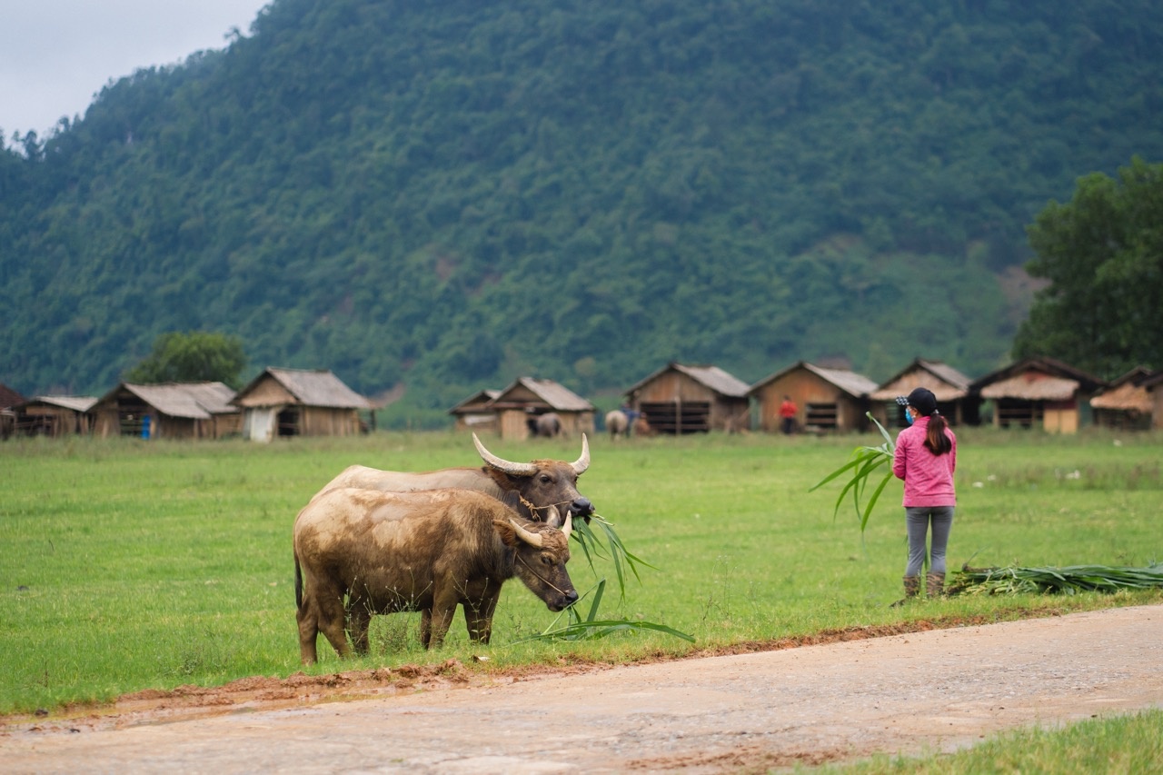 du lich quang binh,  lang tan hoa,  hang dong anh 8