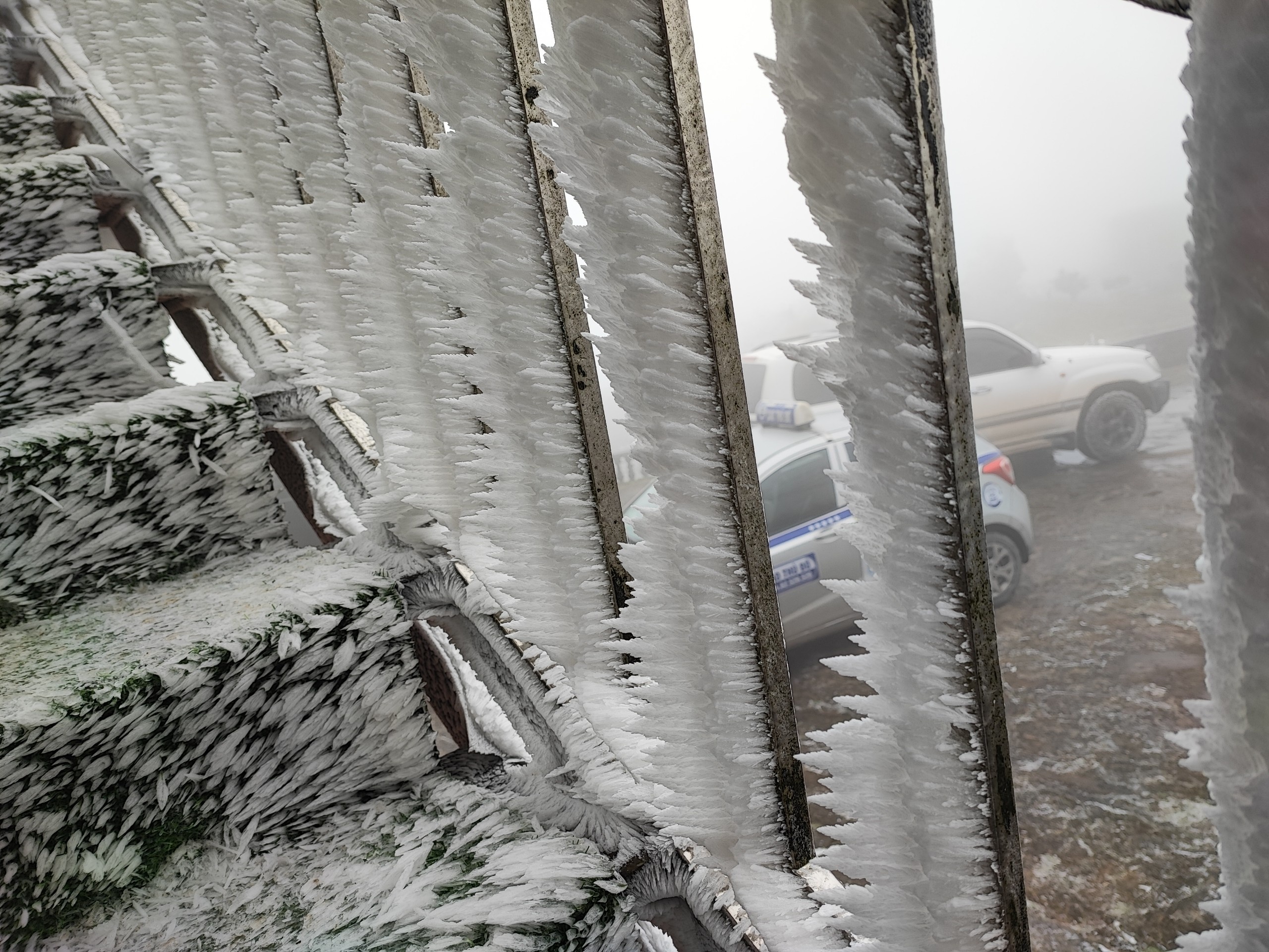 tuyet mau son,  xuat hien bang,  gia ret,  lanh mien bac anh 7