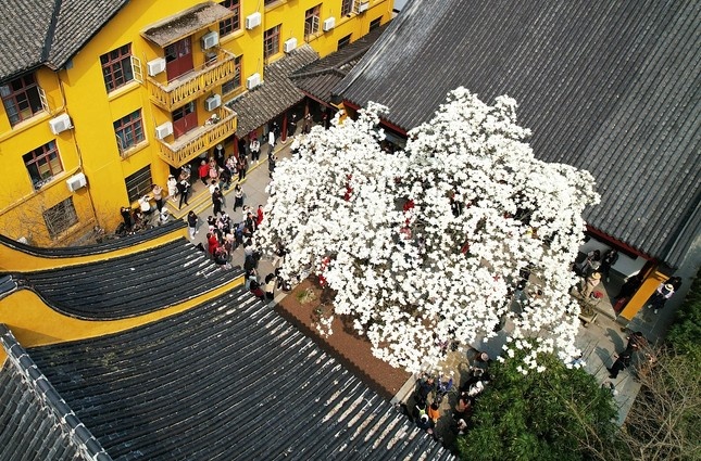 moc lan chua Phap Hy anh 1