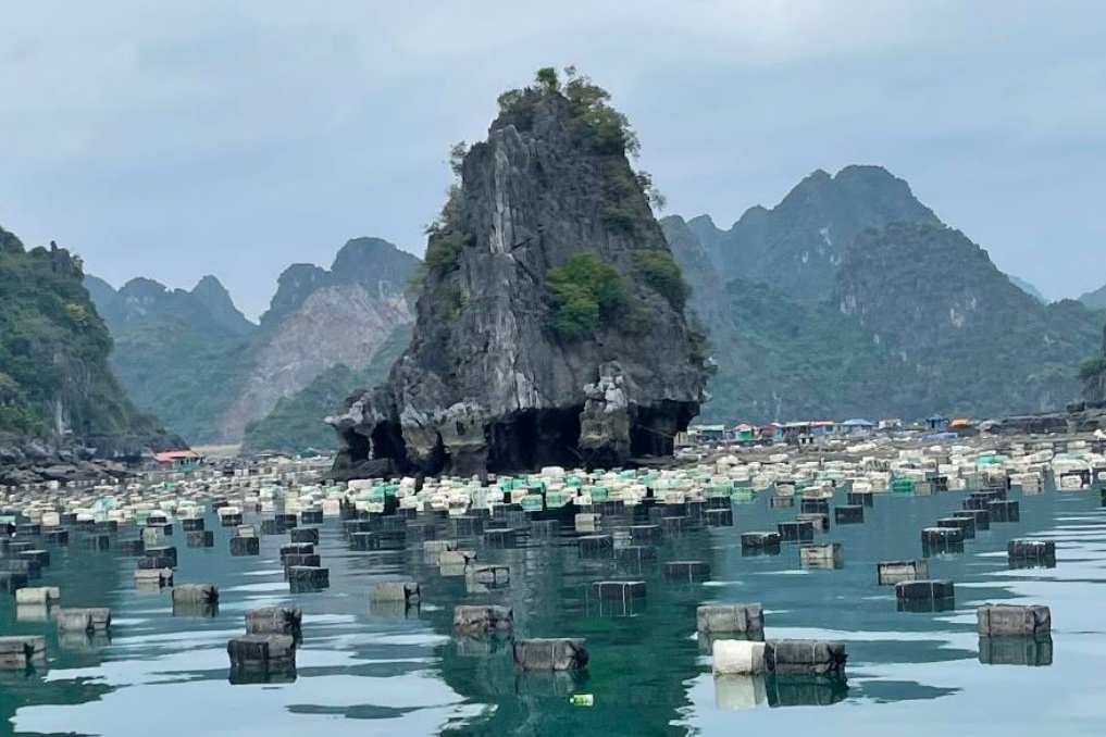 Vinh Ha Long khi nao het rac? hinh anh