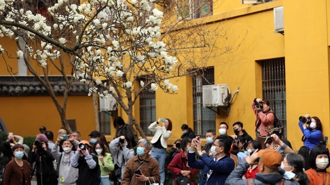 moc lan chua Phap Hy anh 2