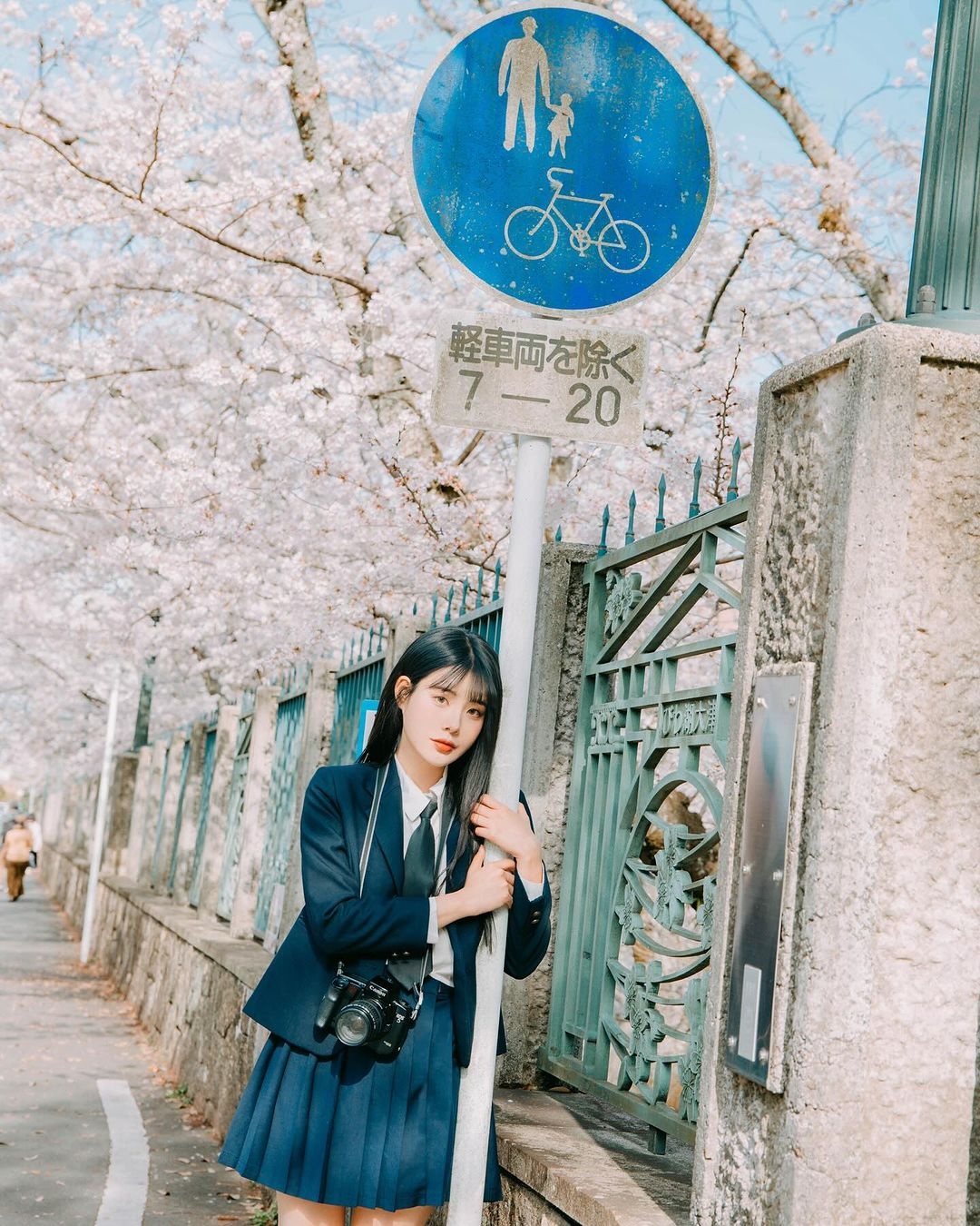 ngắm hoa anh đào ảnh 6 ngam hoa anh dao anh 6