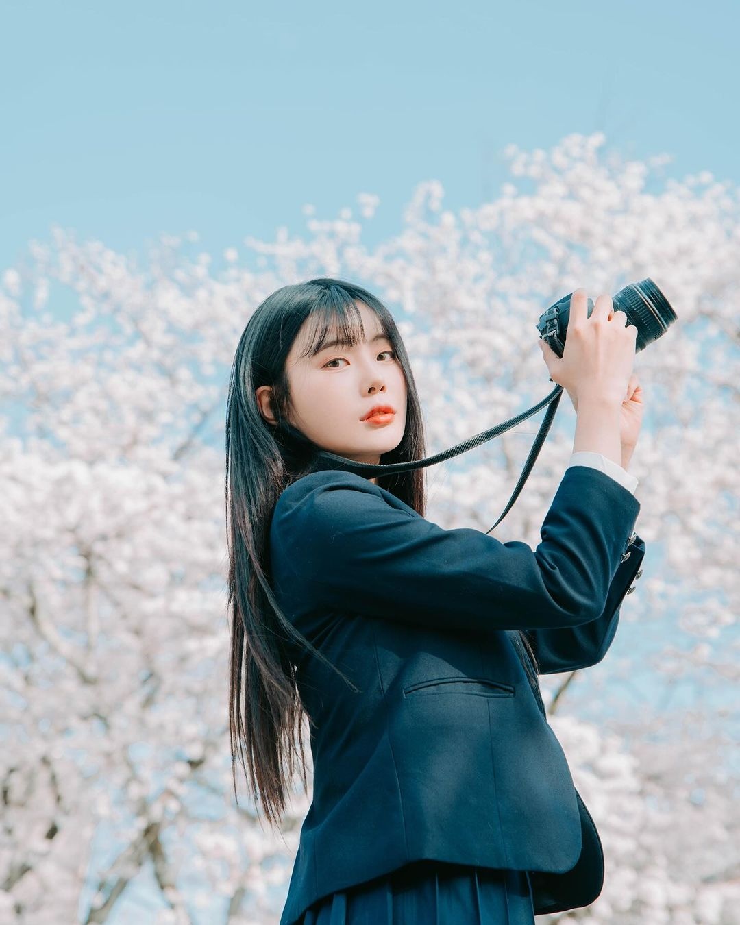 ngắm hoa anh đào ảnh 4 ngam hoa anh dao anh 4