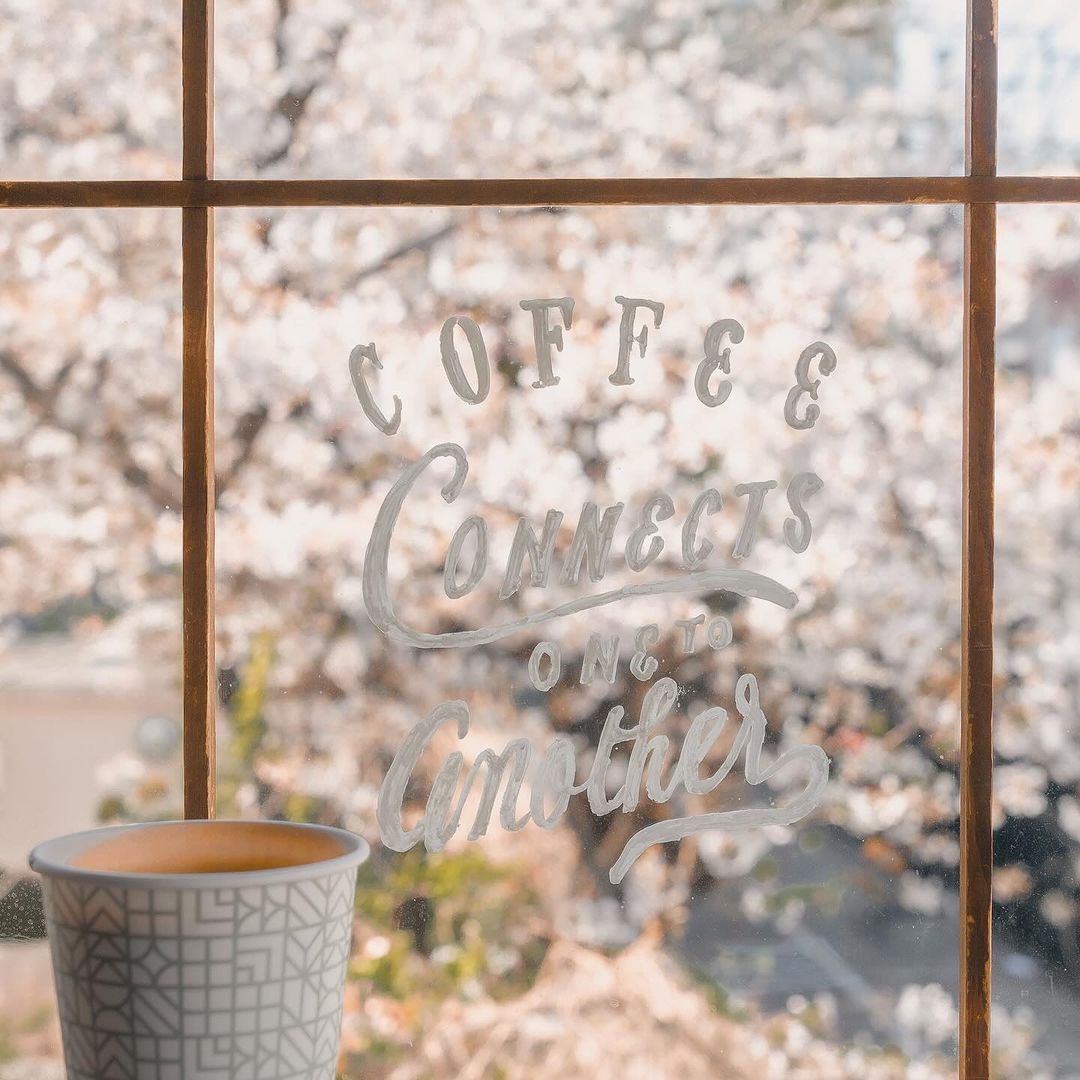 ngắm hoa anh đào ảnh 10 ngam hoa anh dao anh 10