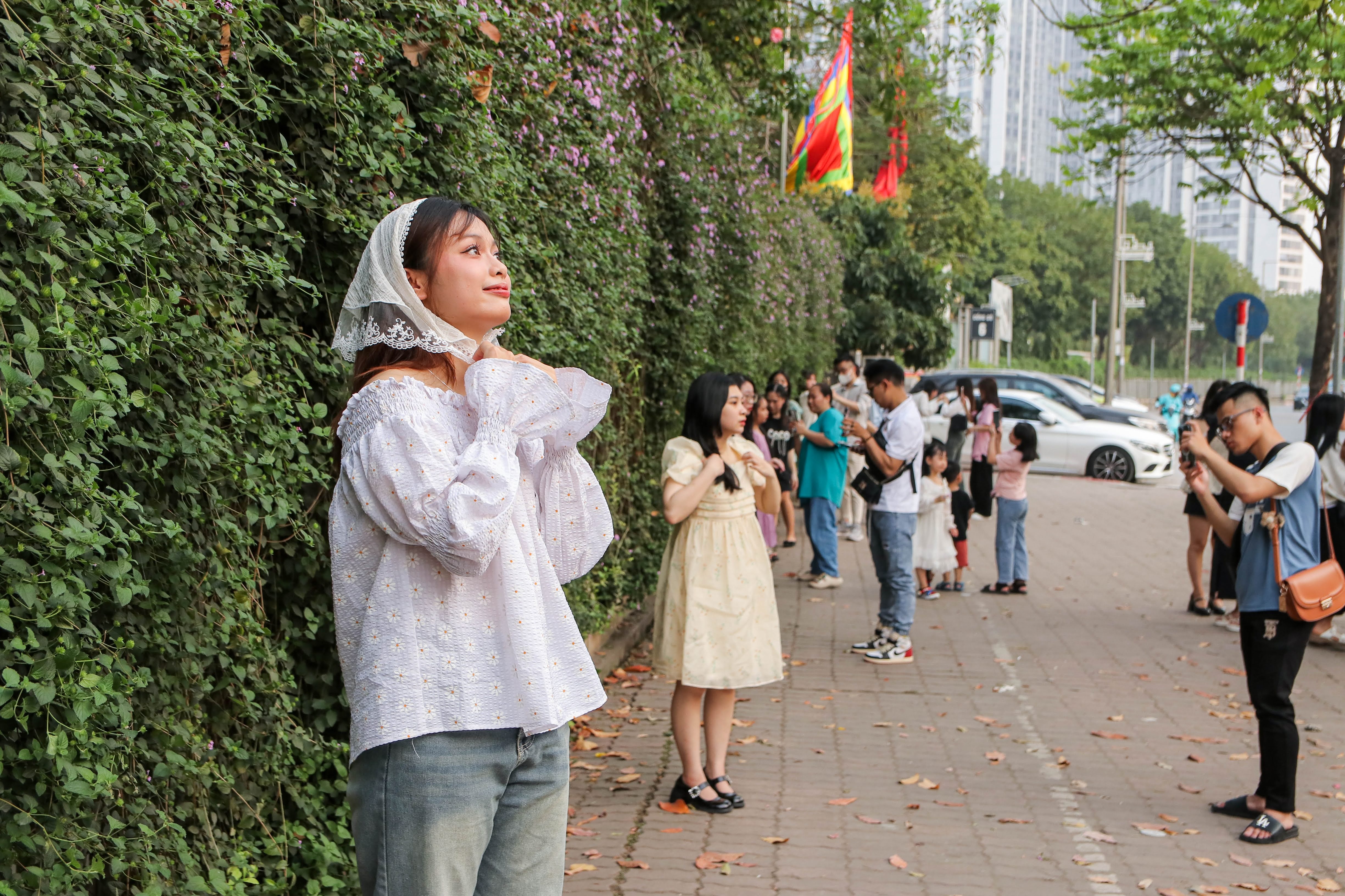 giàn hoa ảnh 1 gian hoa anh 1