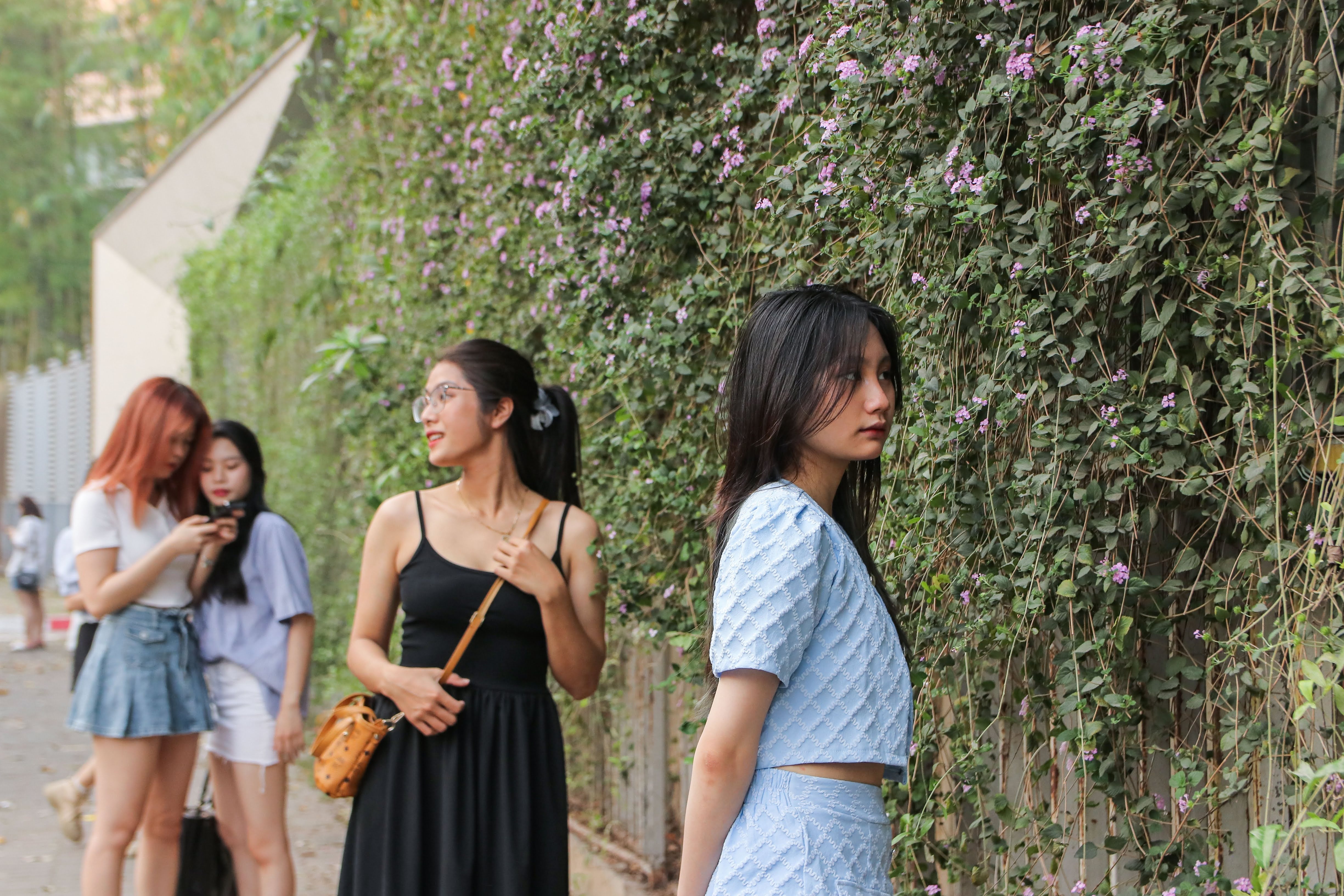 giàn hoa ảnh 8 gian hoa anh 8