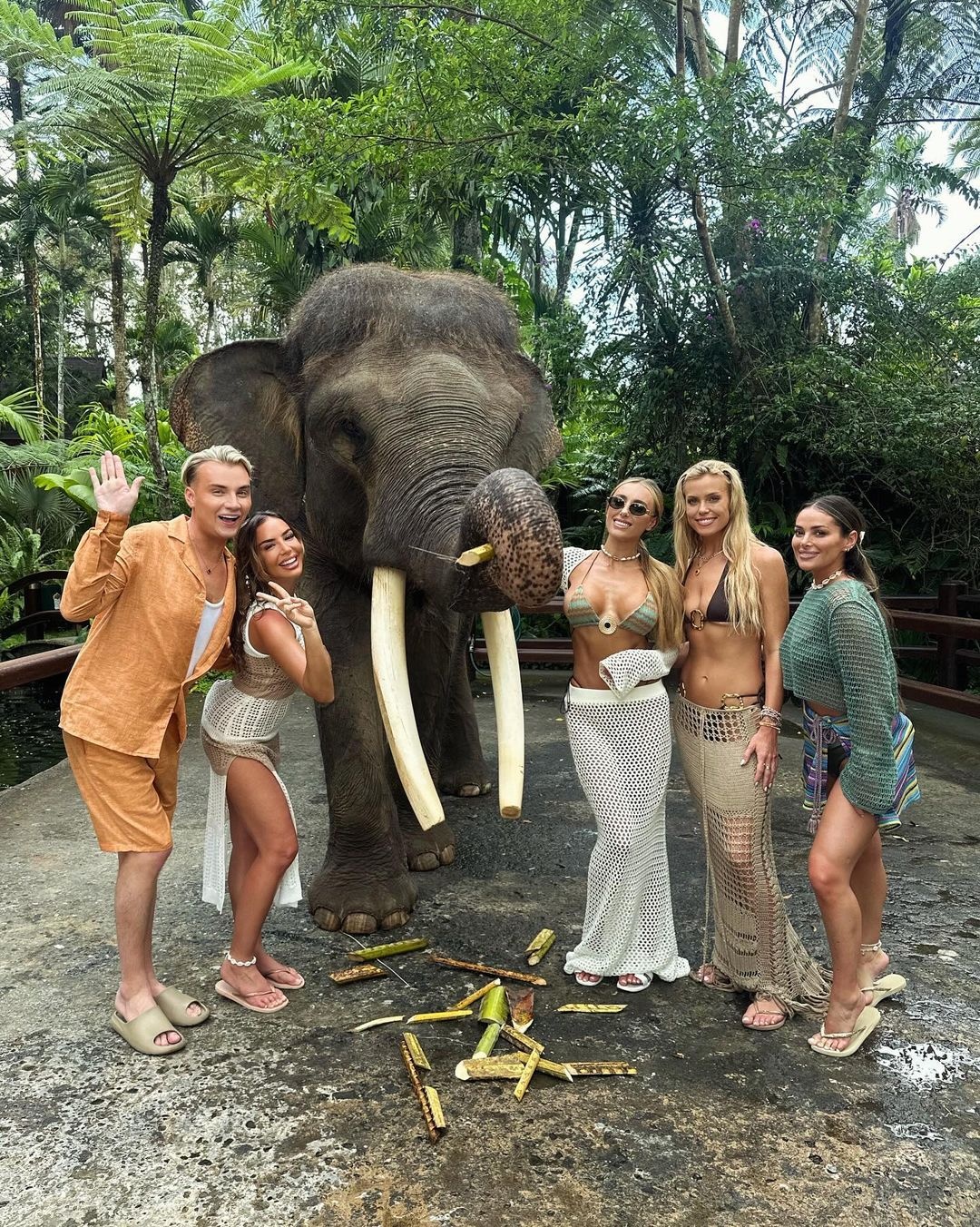 voi bi cua nga anh 1