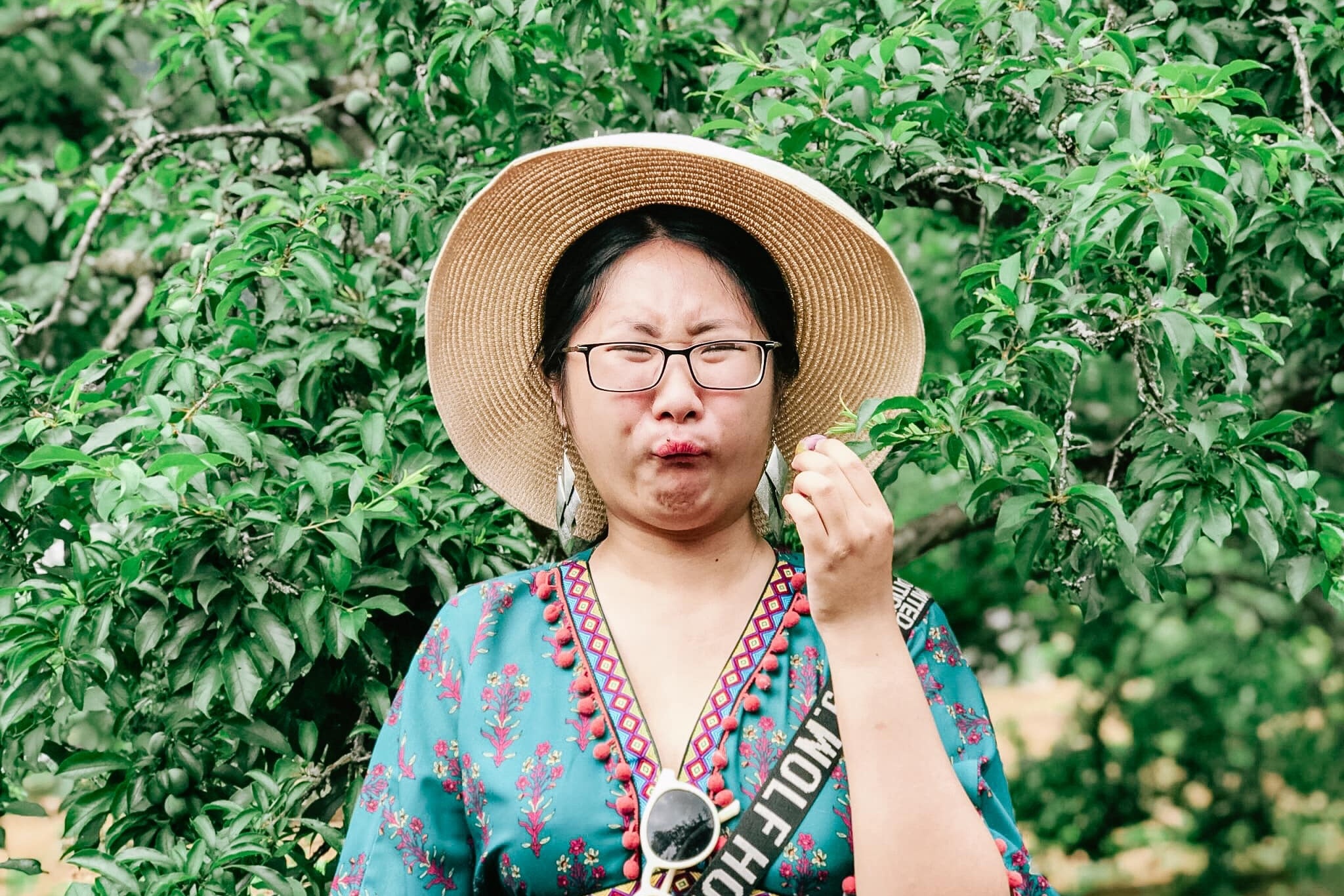 Nham mat, mim moi an man Moc Chau dau mua hinh anh