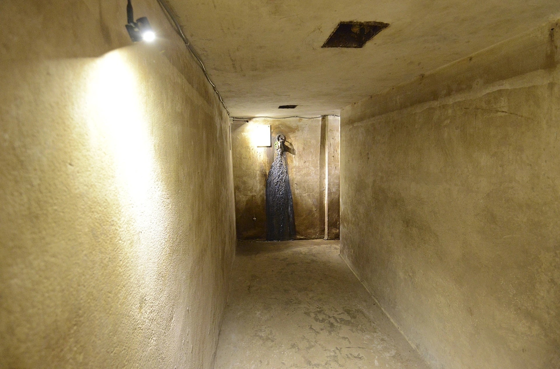 Tim Cook den Viet Nam anh 15