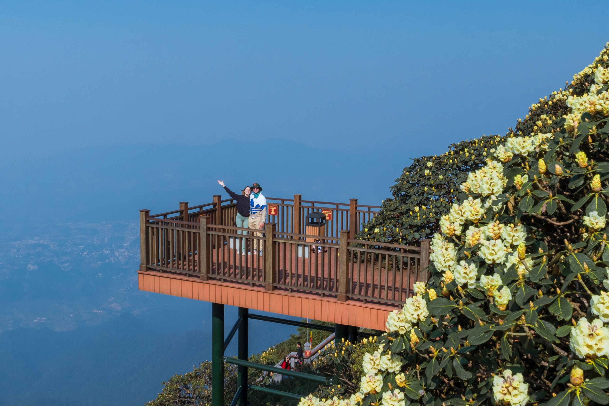 Ngop tam mat ngam rung hoa do quyen bung no tu dinh Fansipan hinh anh