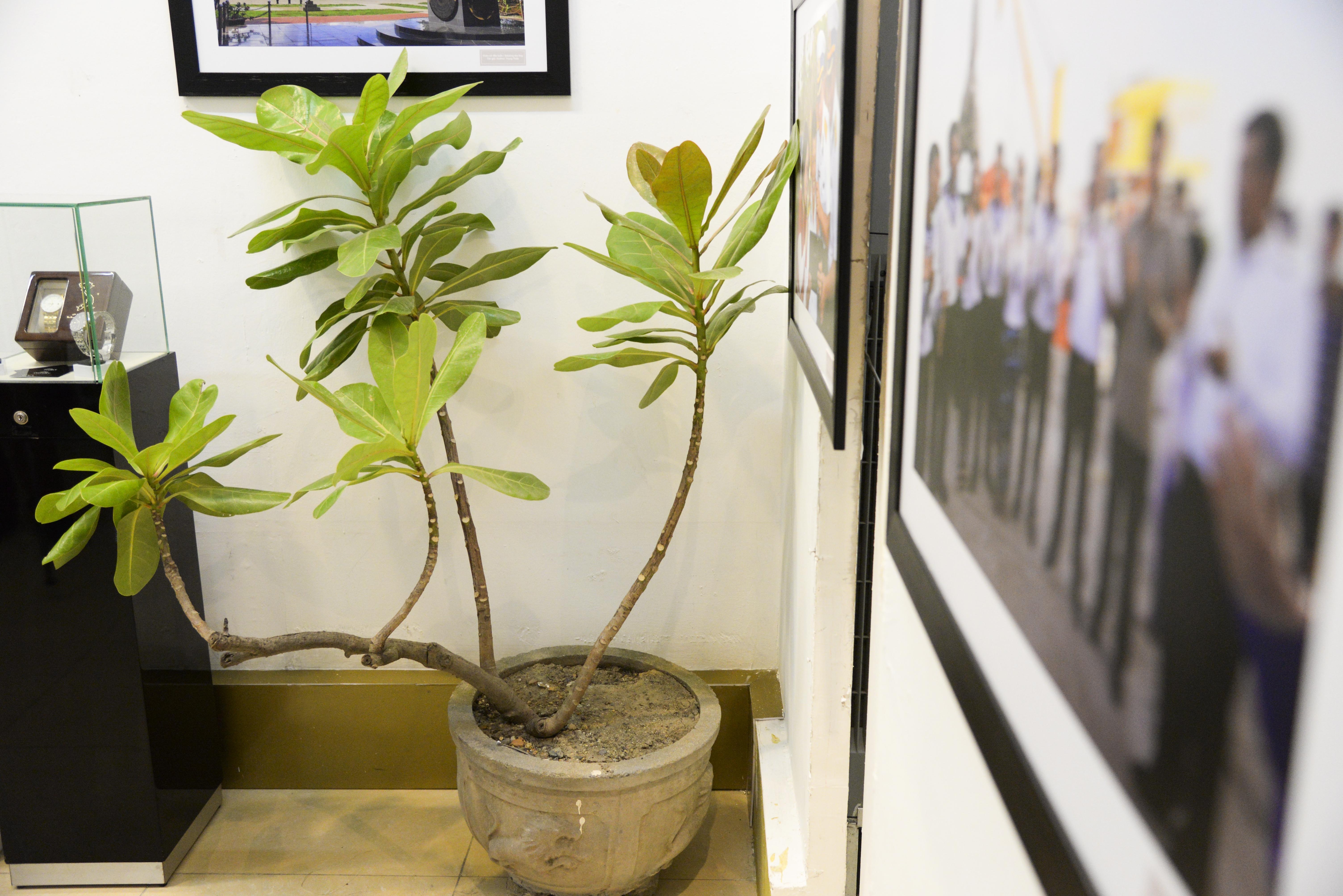 triem lam anh Truong Sa anh 8