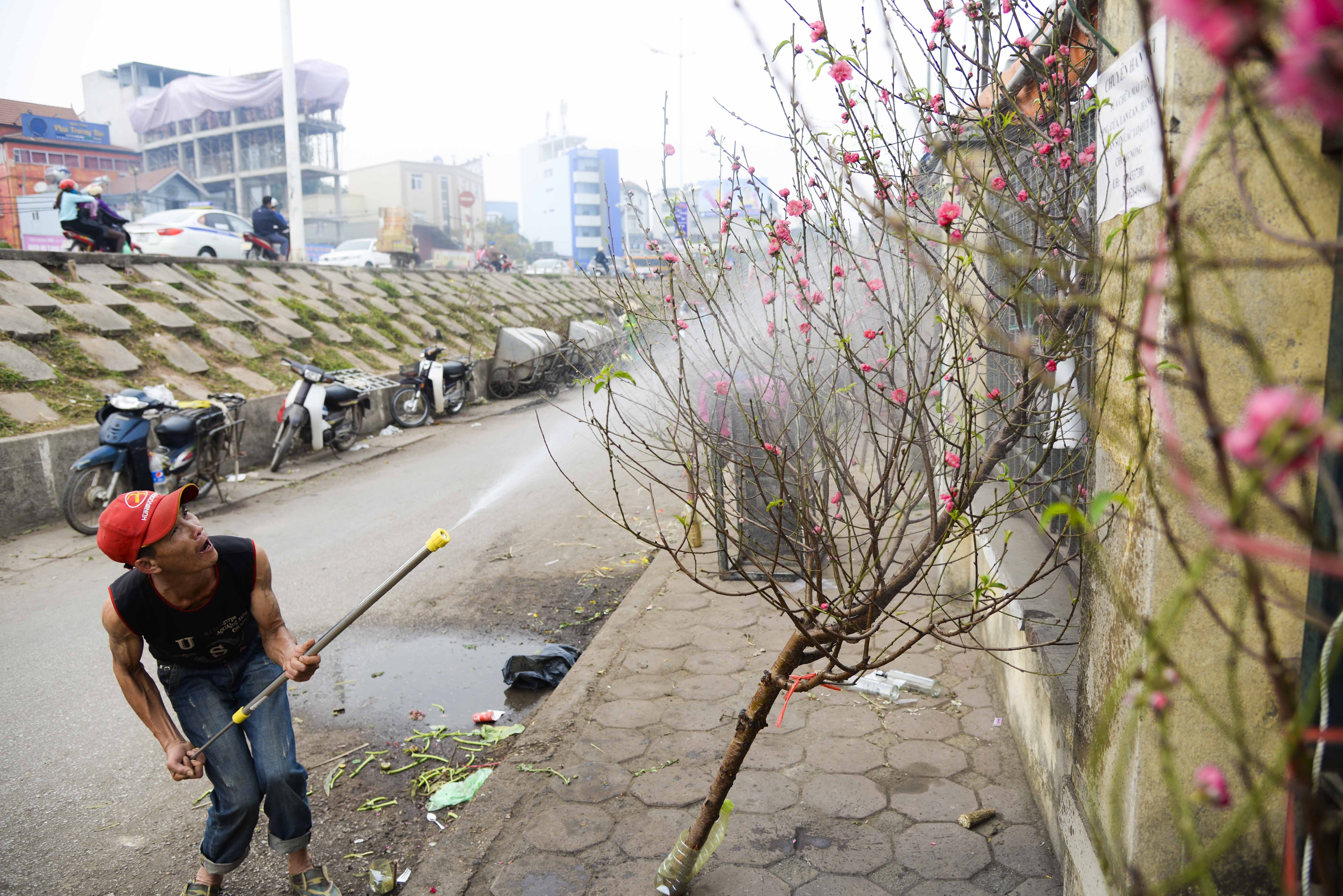 gia ban dao tet anh 5