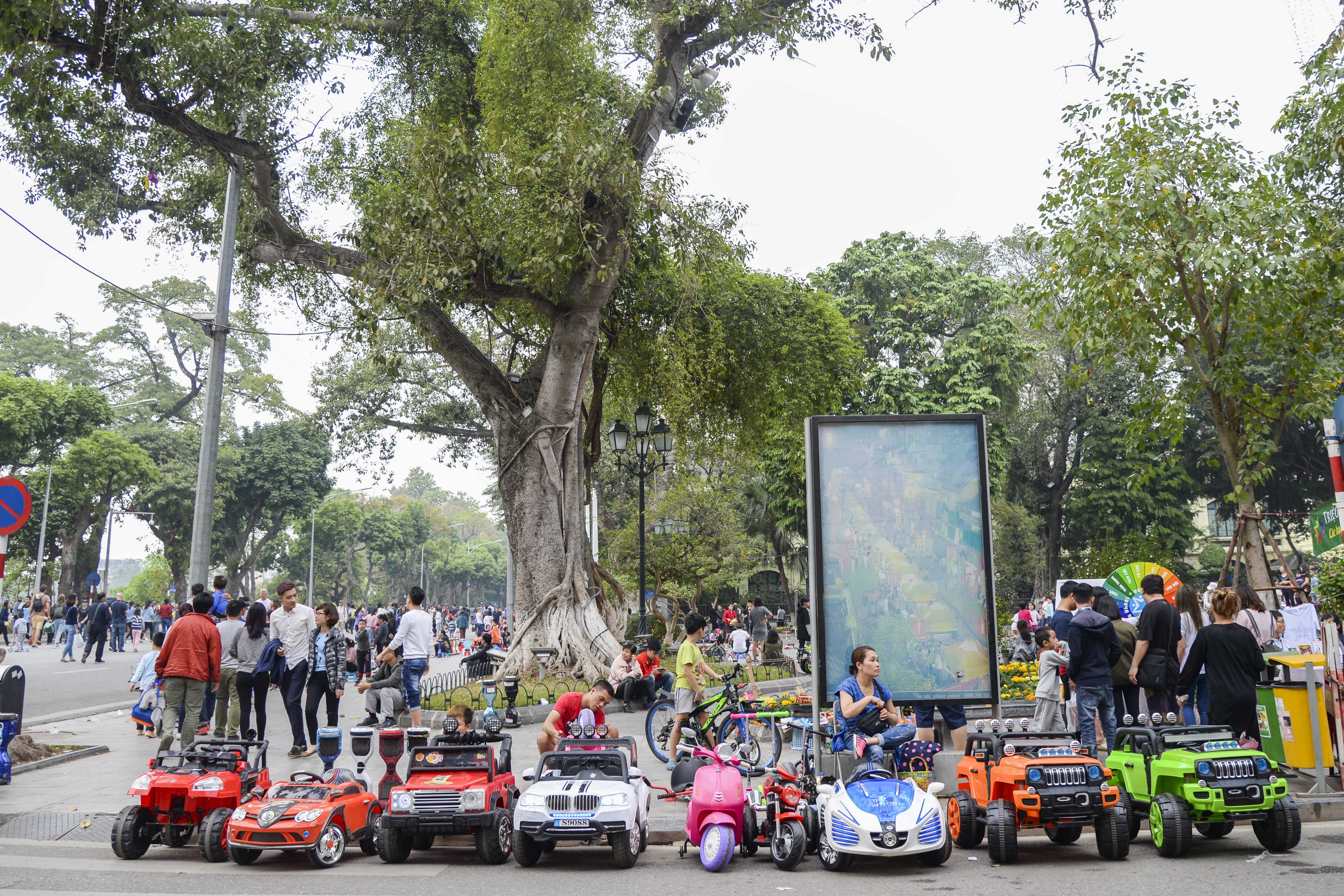 xe o to dien la liet tren pho di bo anh 1