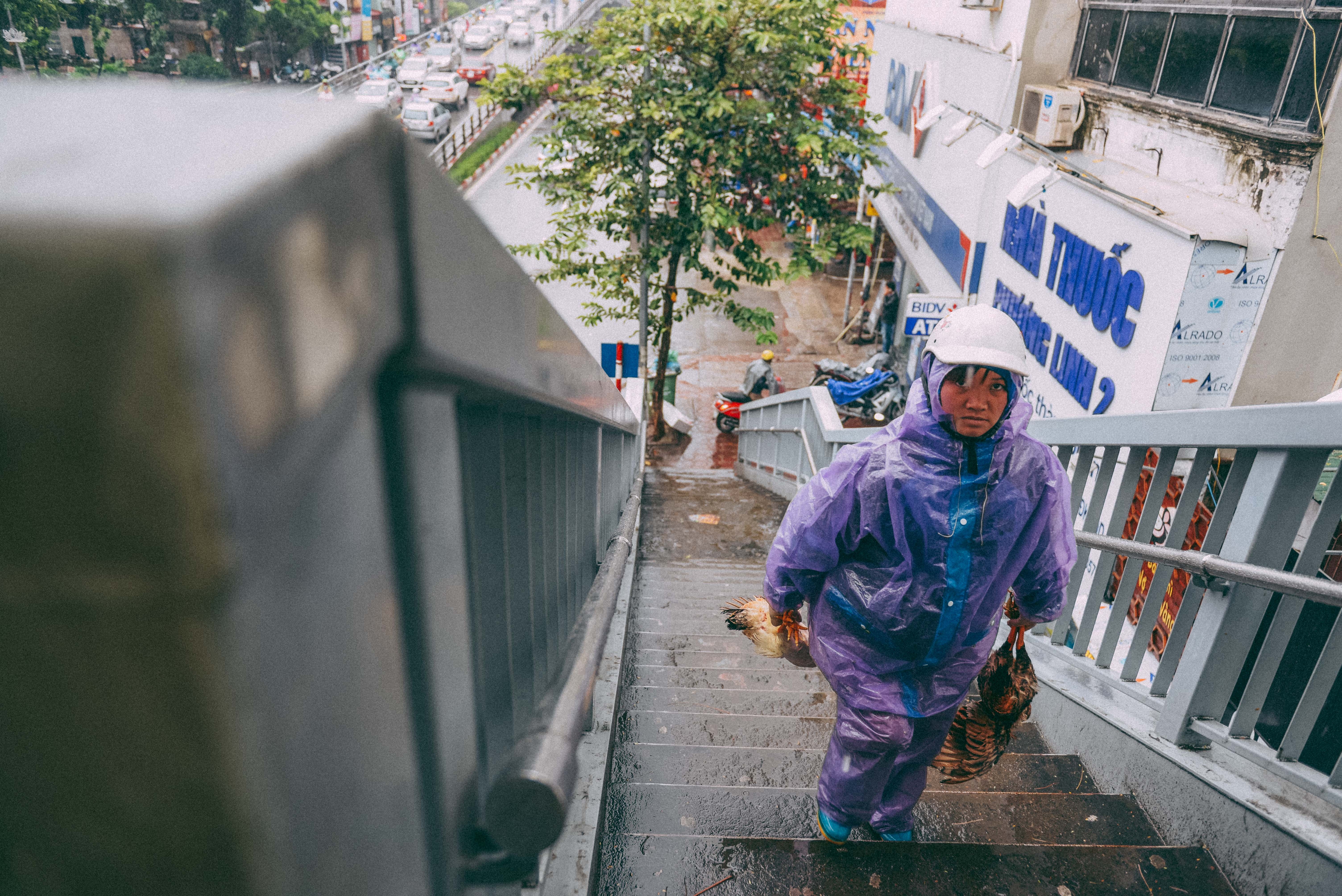 Muu sinh Ha Noi ngay tro ret anh 5