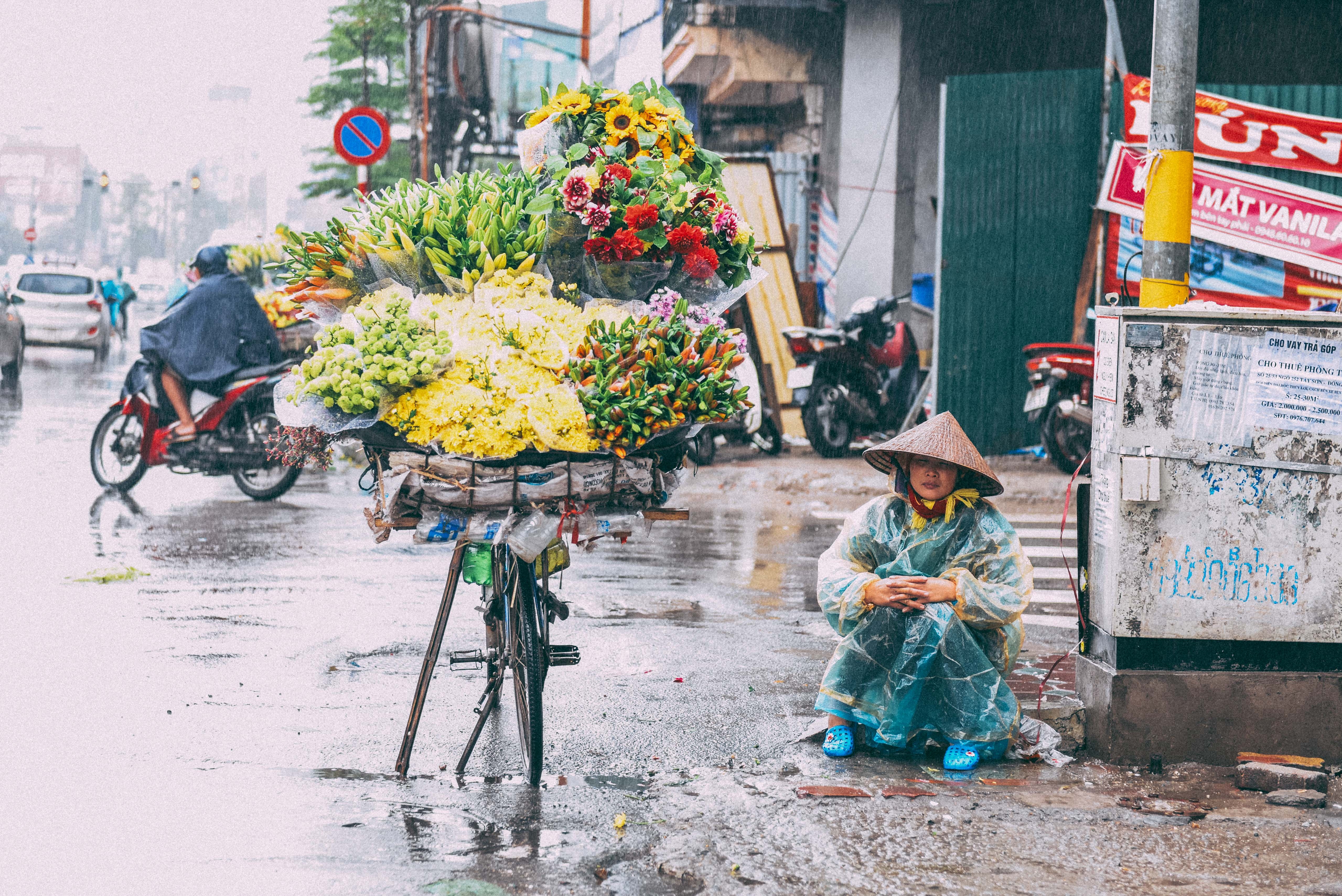 Muu sinh Ha Noi ngay tro ret anh 1