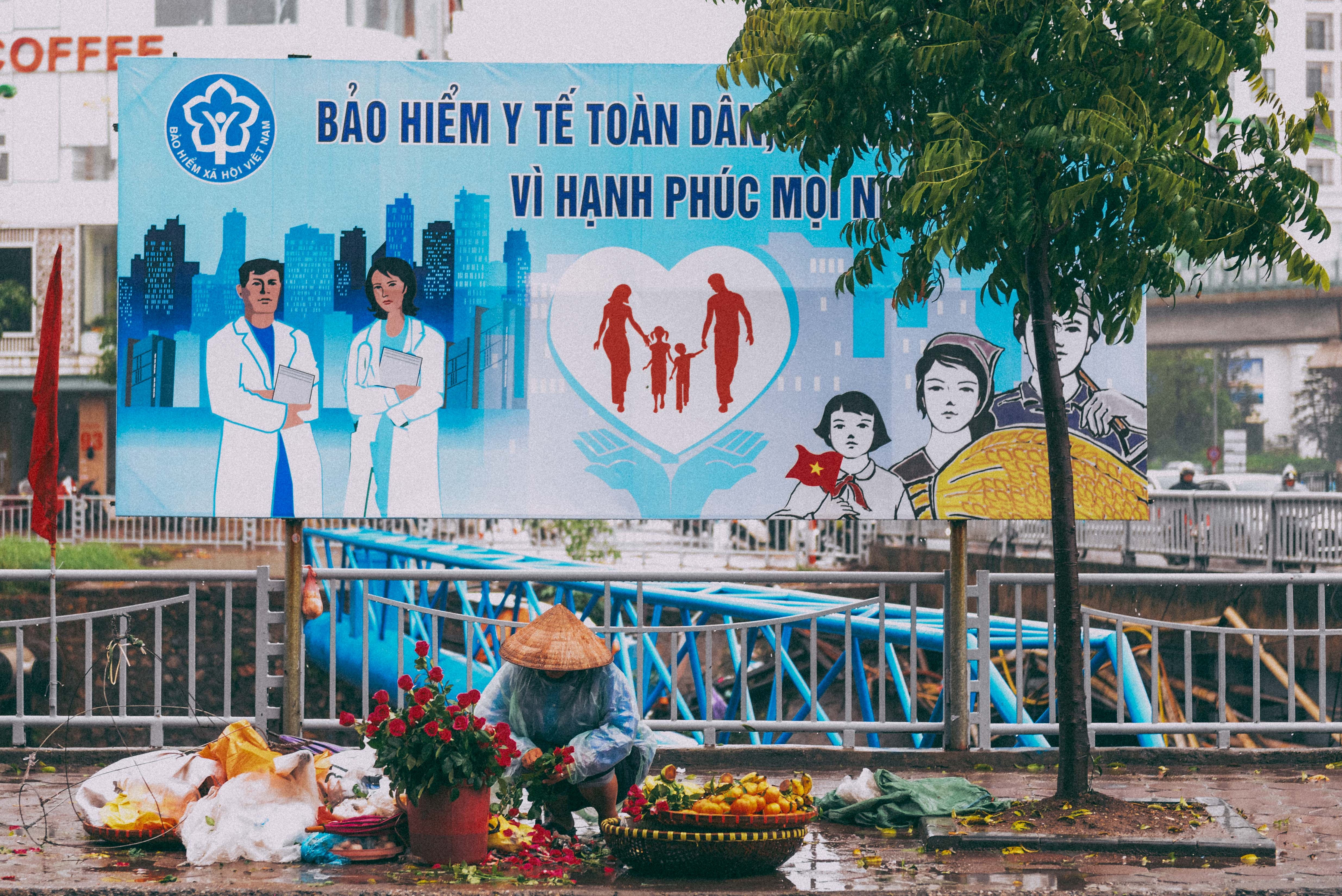 Muu sinh Ha Noi ngay tro ret anh 6