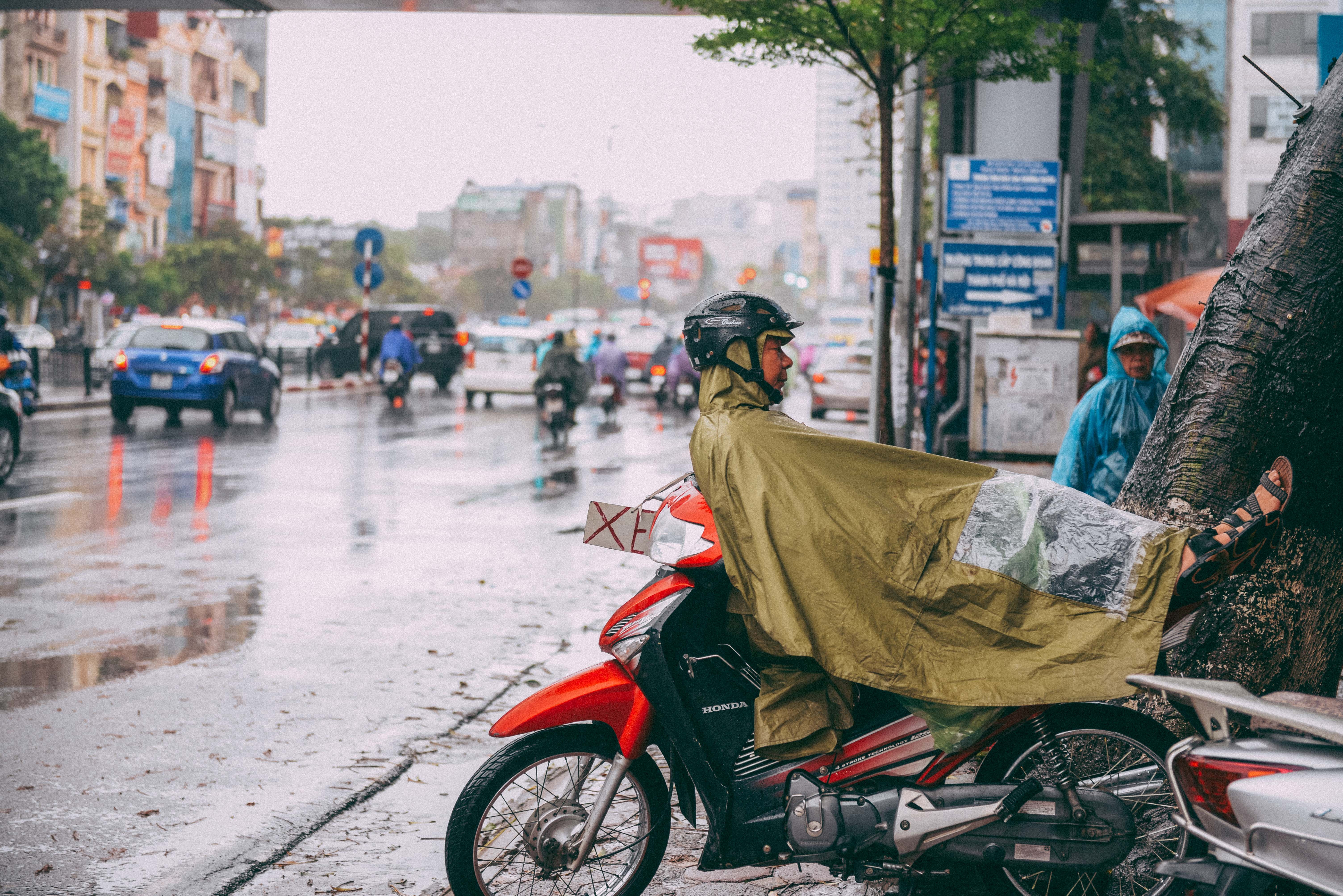 Muu sinh Ha Noi ngay tro ret anh 3