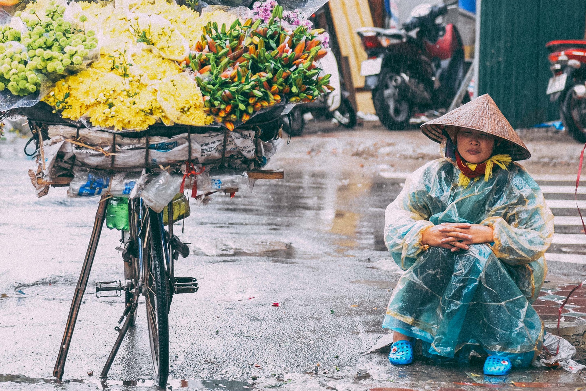 Nhung canh doi muu sinh trong mua lanh hinh anh