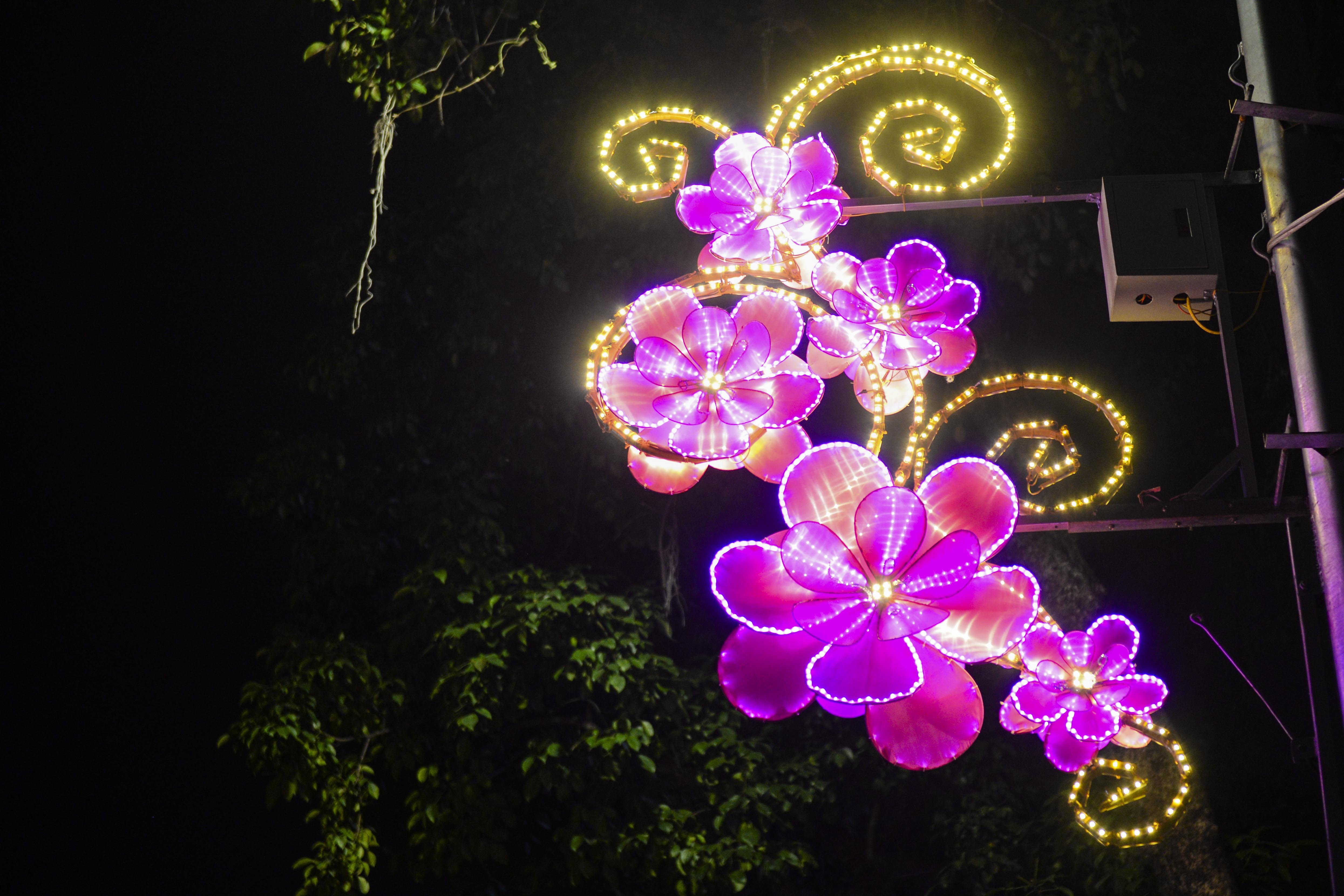 Ha Noi trang tri chao don nam moi anh 11