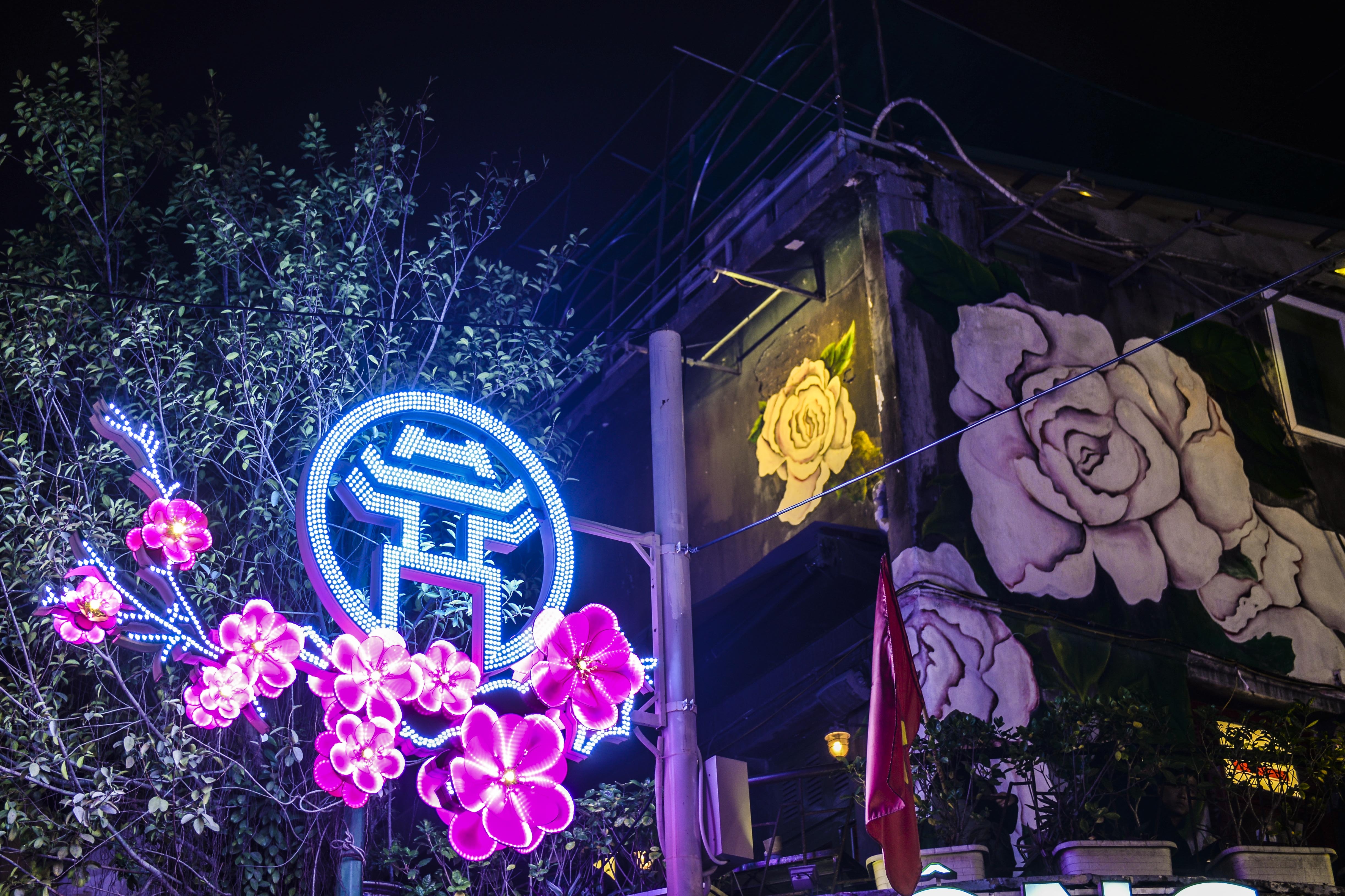 Pho phuong Ha Noi ruc ro don Tet Nguyen dan hinh anh