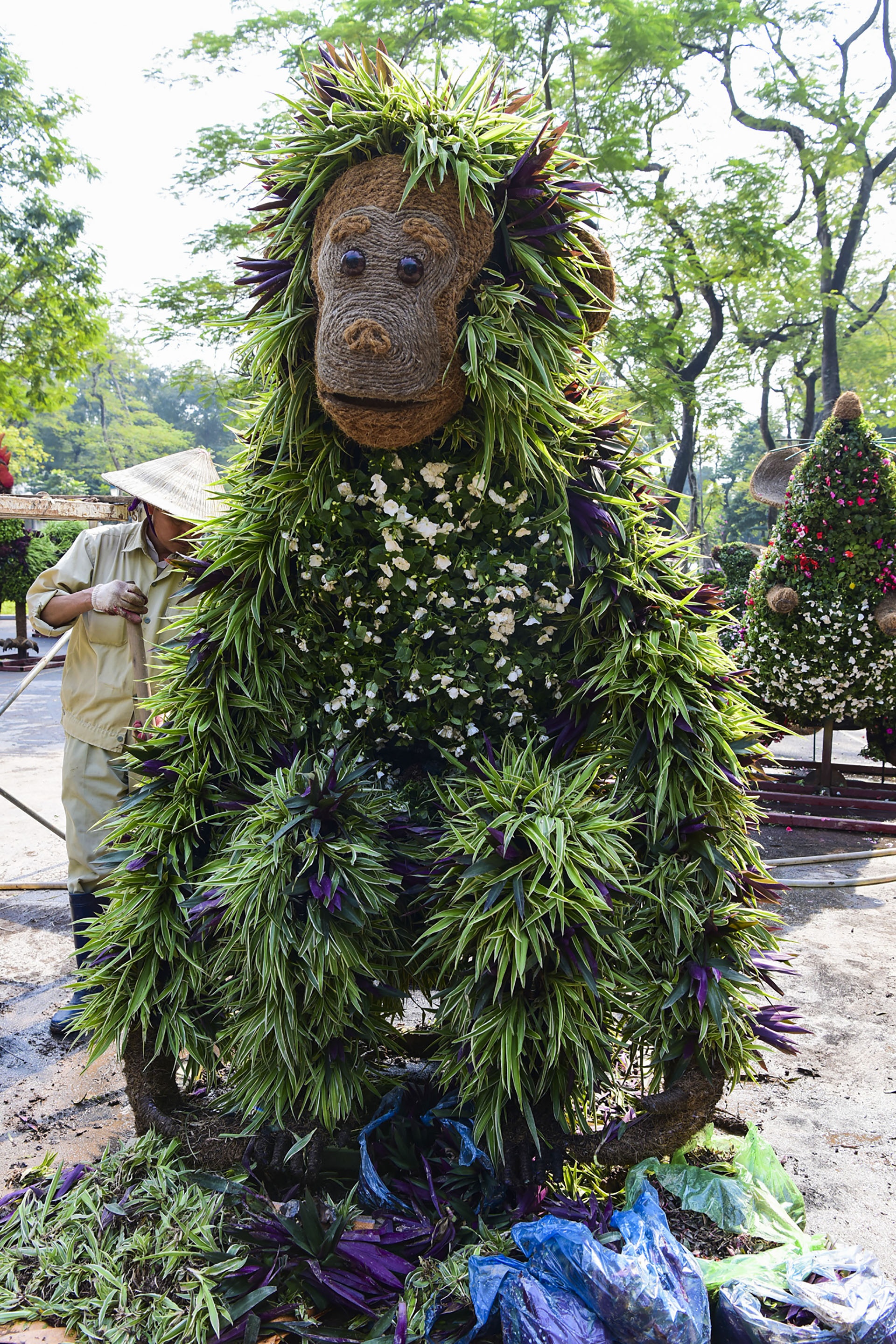 Tam ga long xanh duoi tim co mot khong hai o Ha Noi anh 12