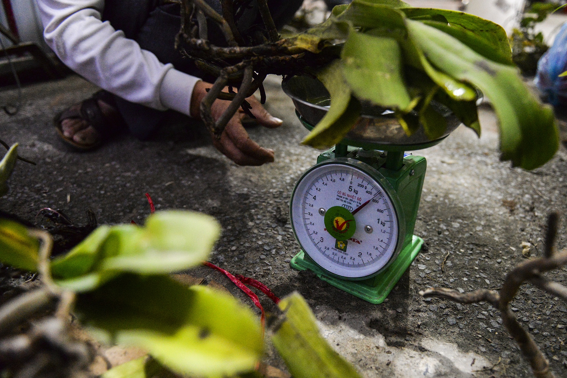 cho Vieng Nam Dinh anh 14