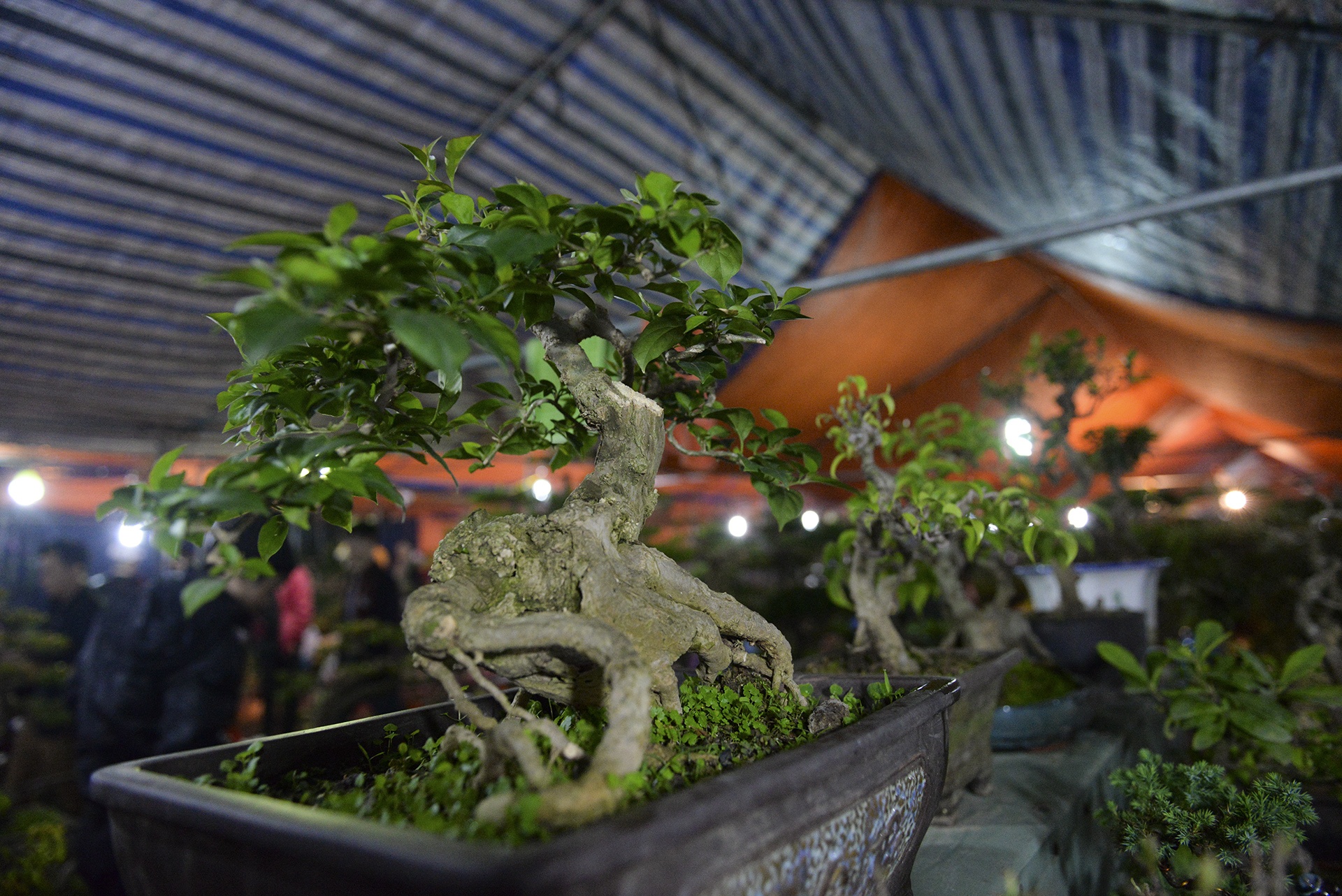 cho Vieng Nam Dinh anh 10