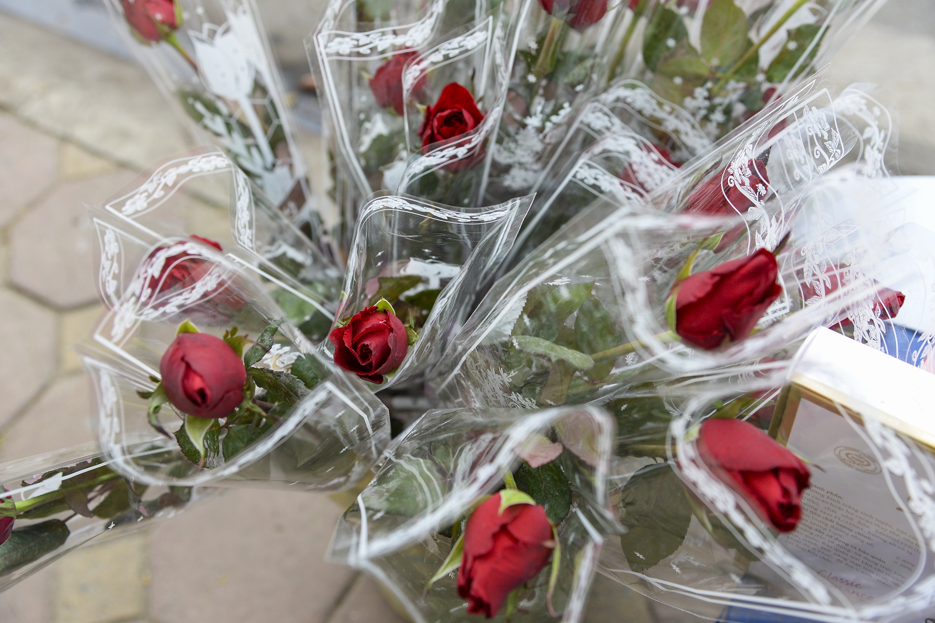 ngay le tinh yeu anh 14