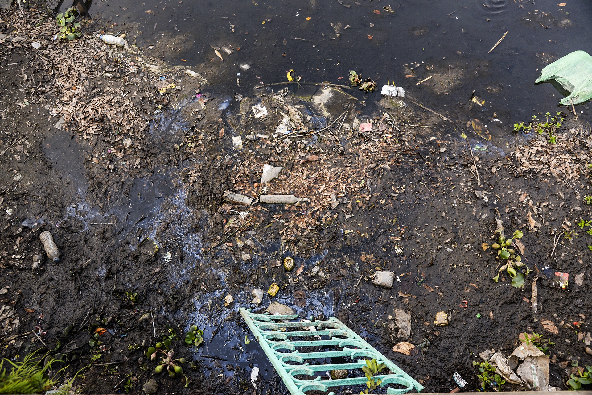 di doi nha hang ho Tay anh 9