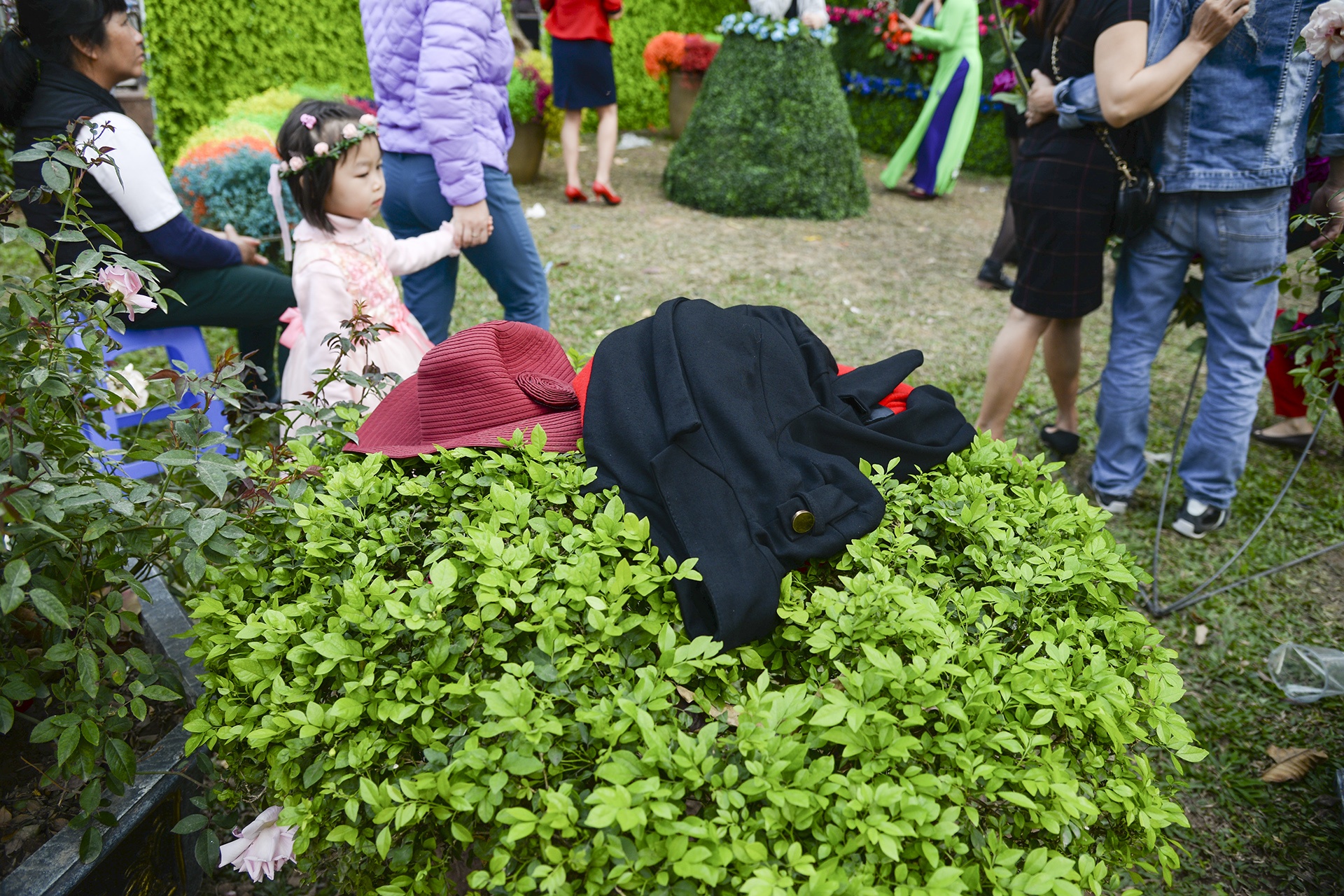 Le hoi hoa hong Bulgaria anh 11