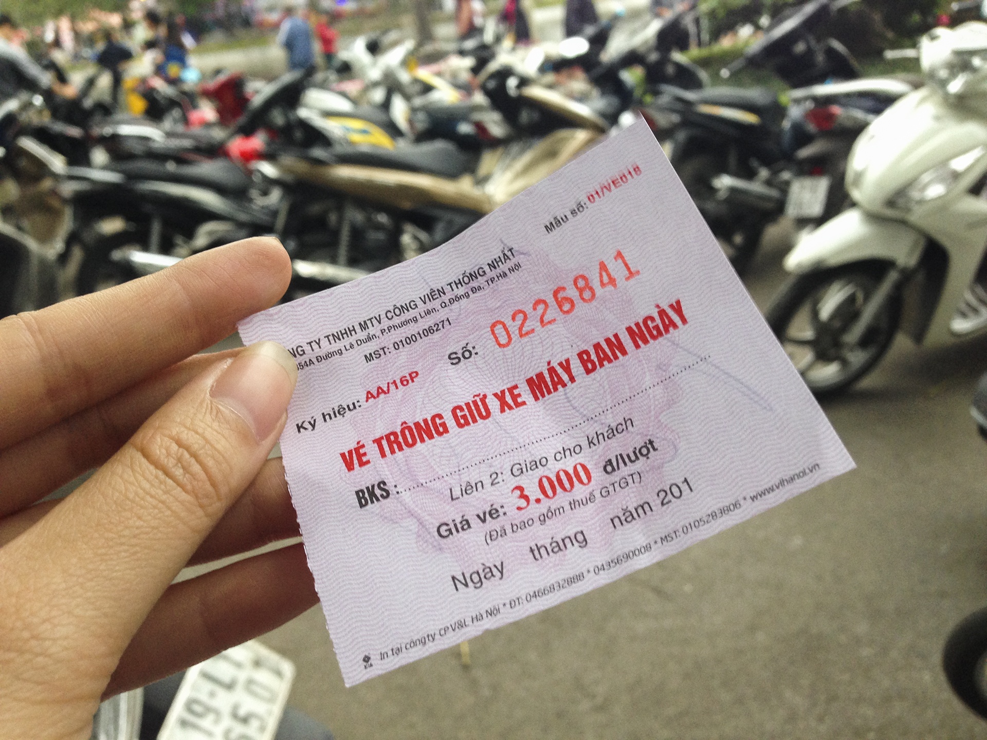 Le hoi hoa hong Bulgaria anh 16