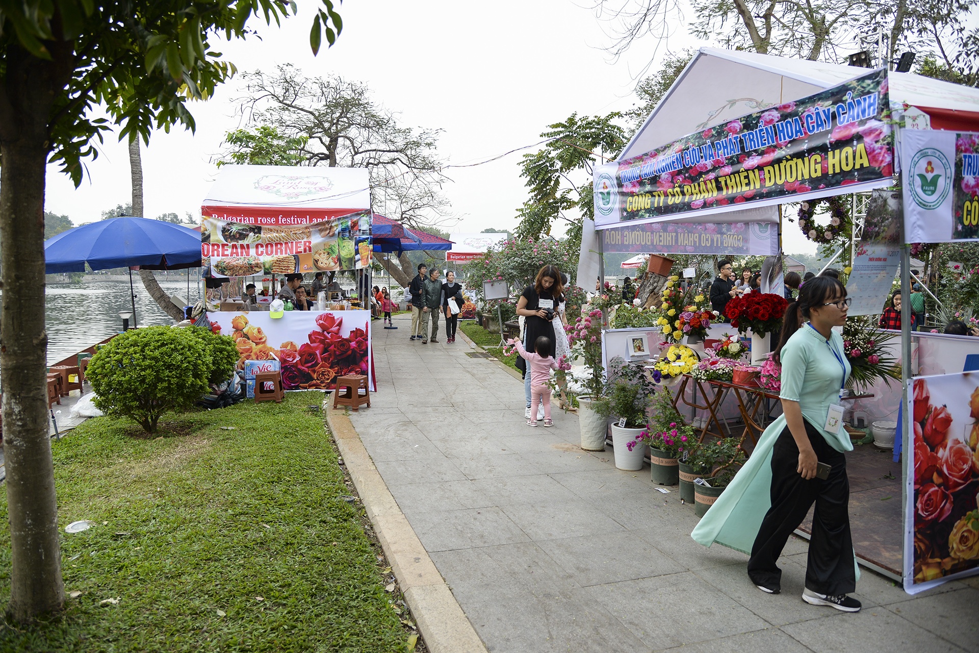 Le hoi hoa hong Bulgaria anh 7