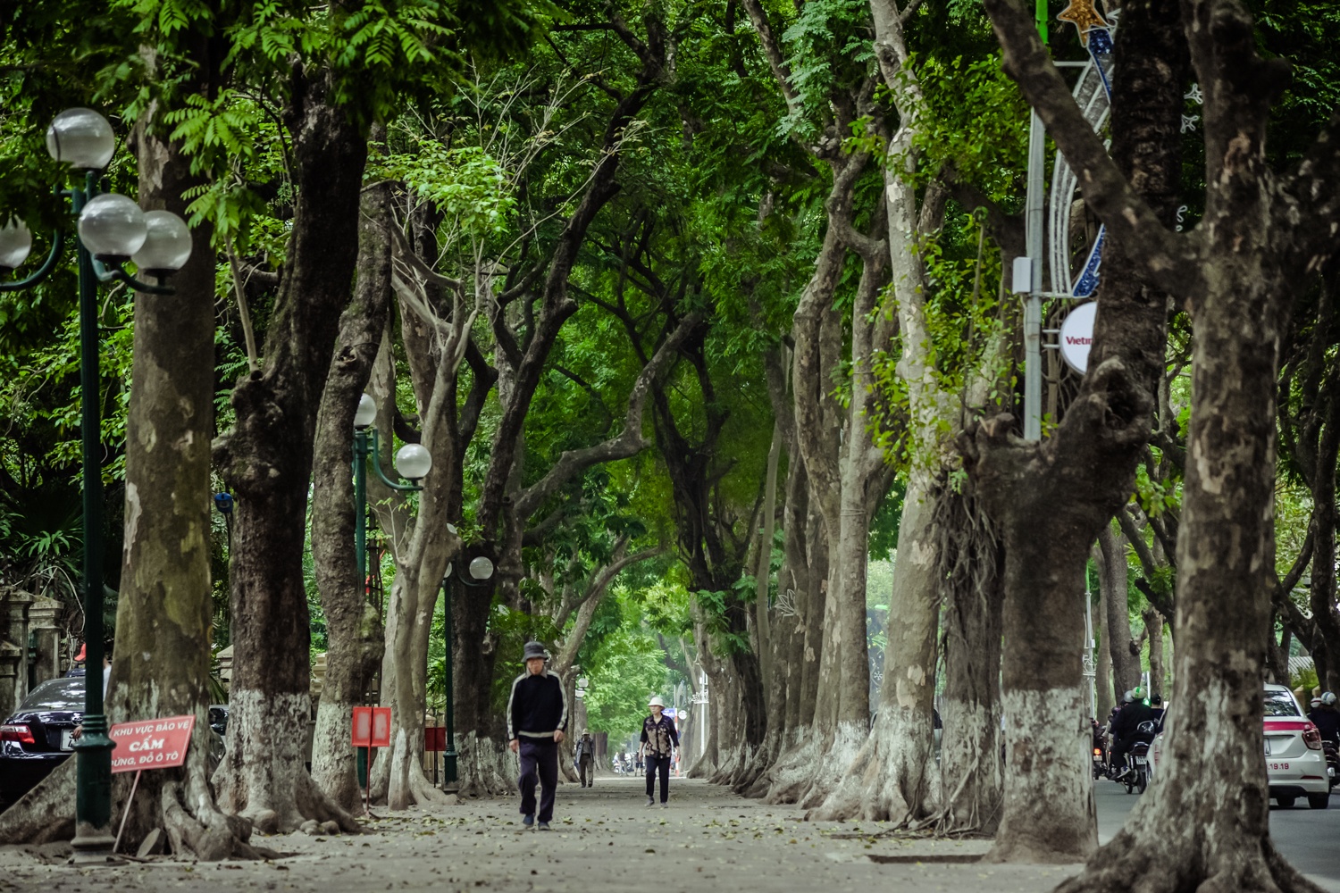 via he dep o Ha Noi anh 10