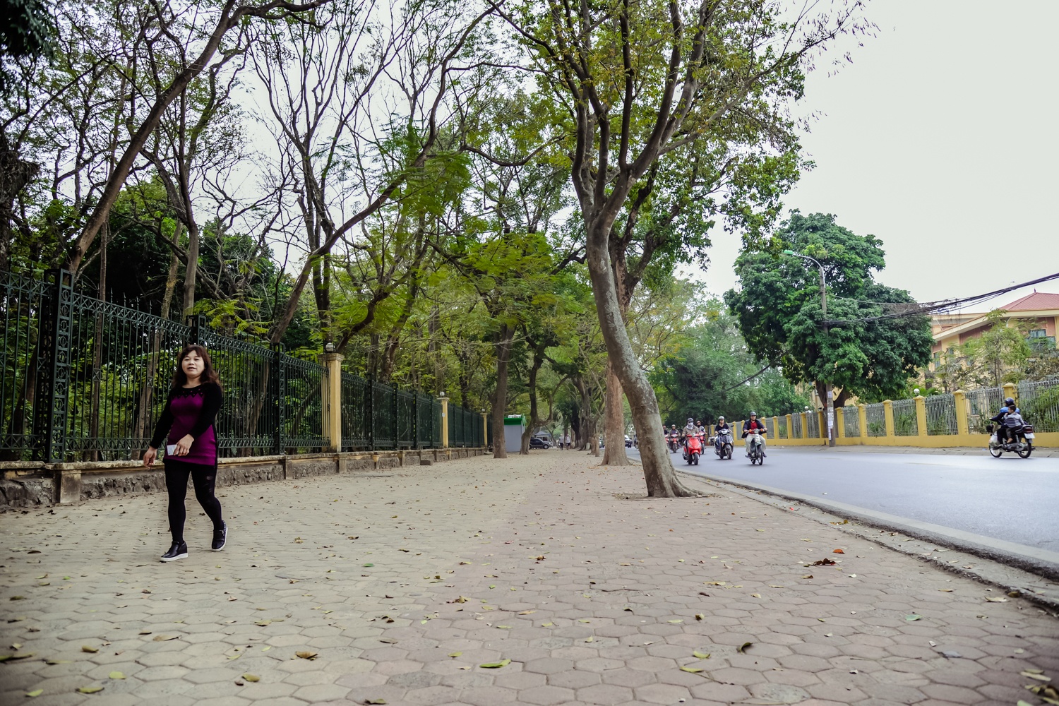 via he dep o Ha Noi anh 4