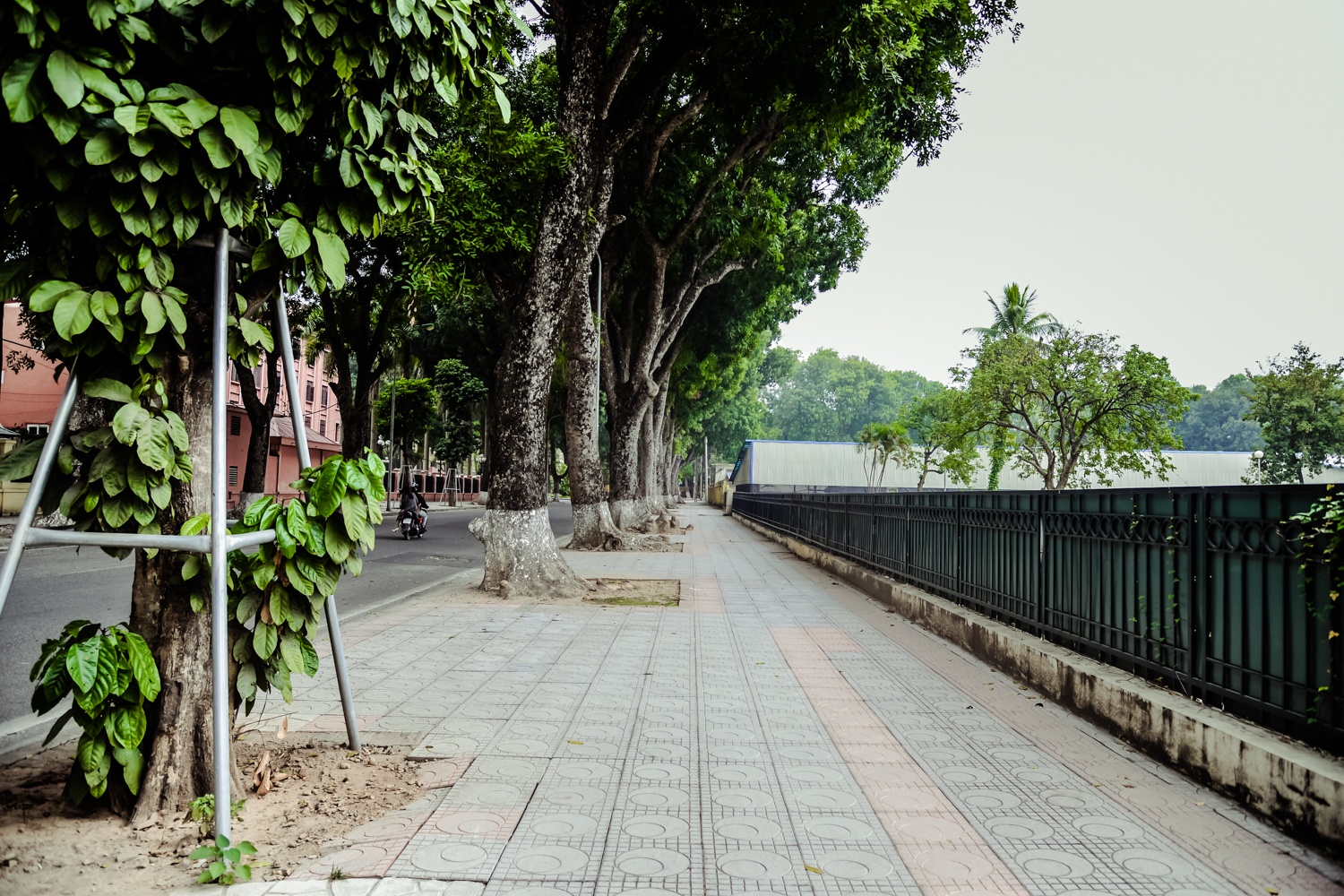 via he dep o Ha Noi anh 7