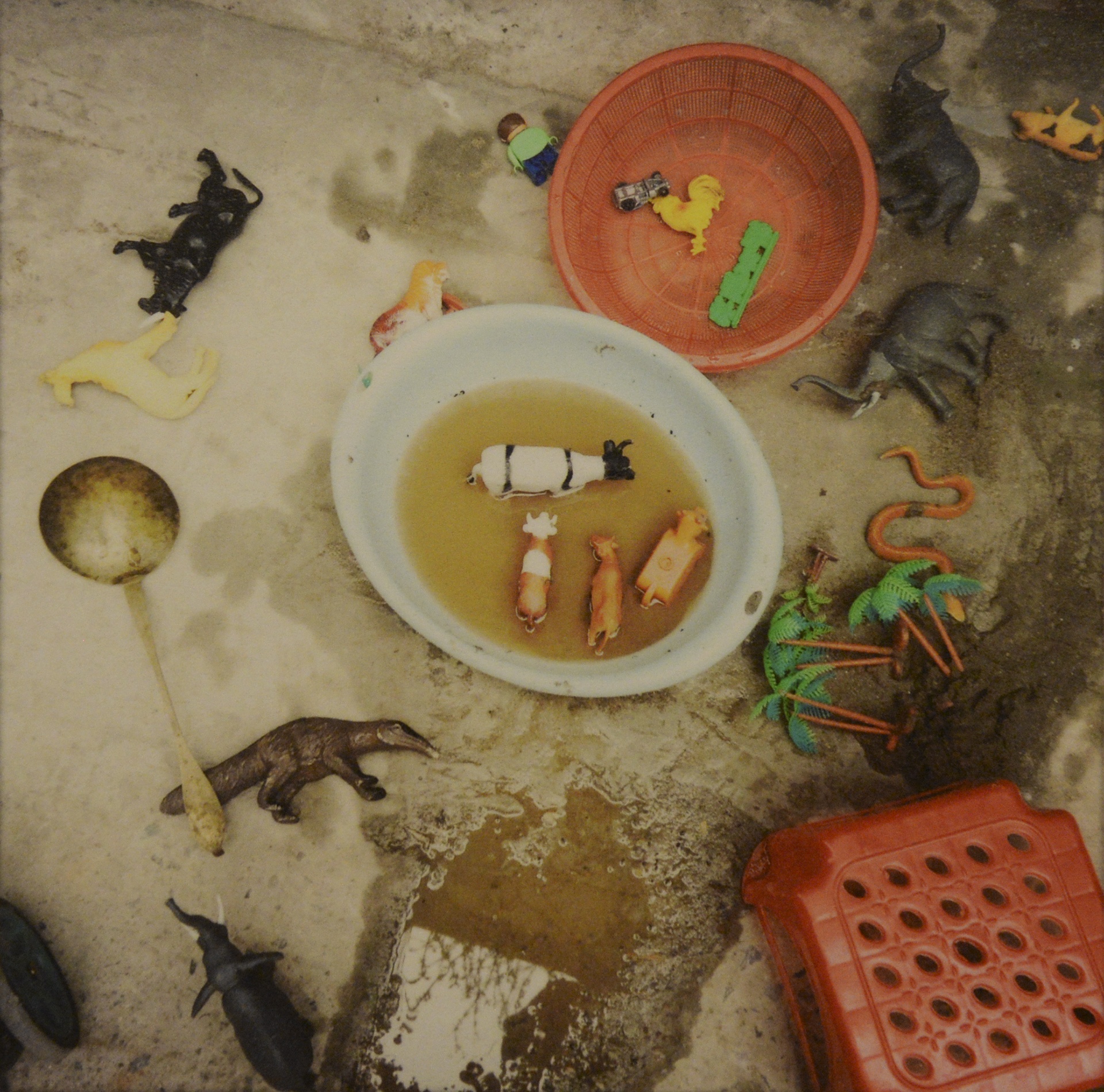 chup anh bang di dong anh 9