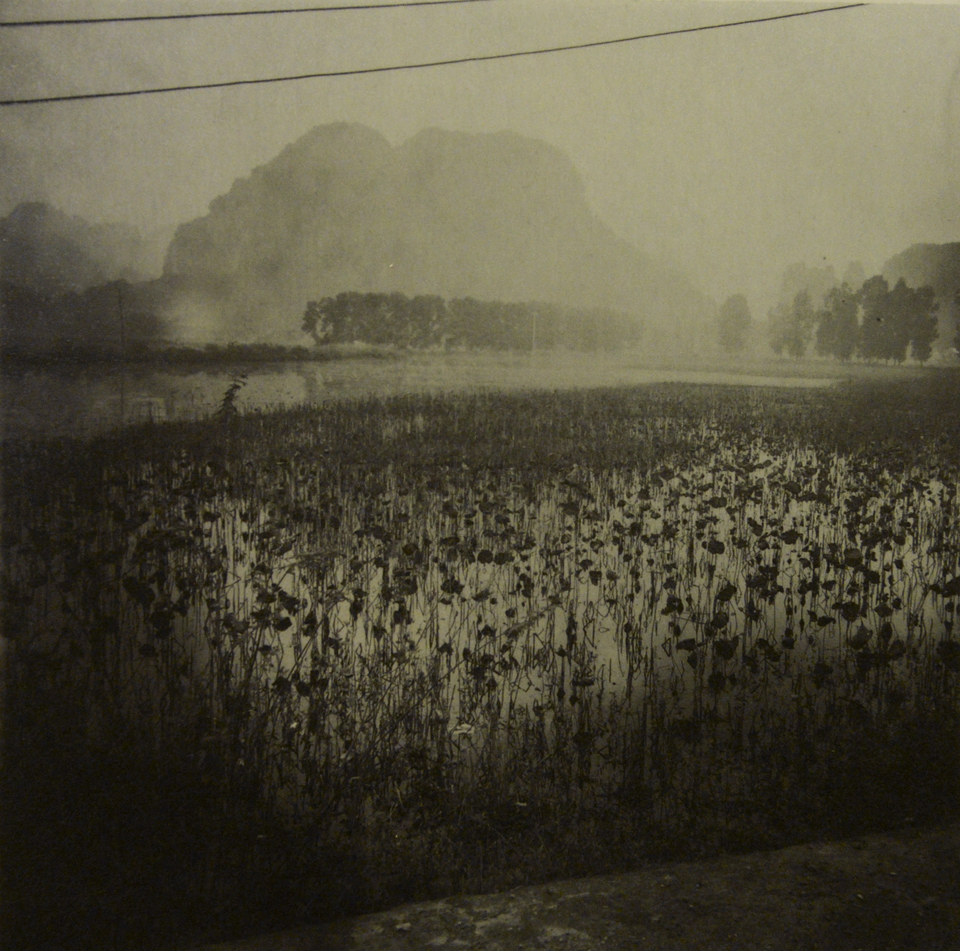 chup anh bang di dong anh 12