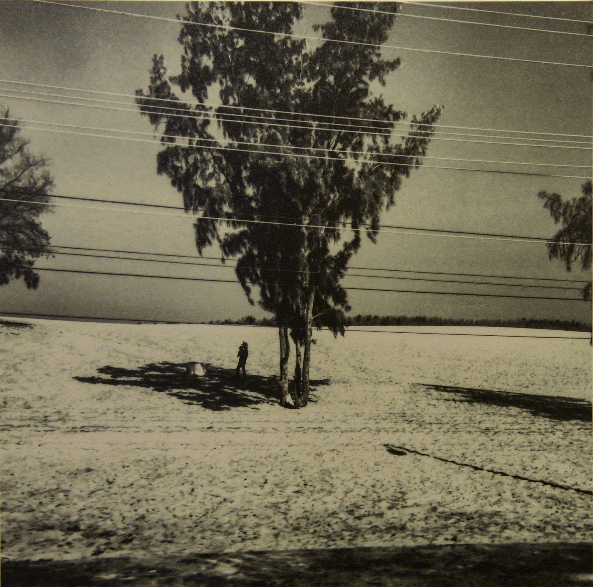 chup anh bang di dong anh 13