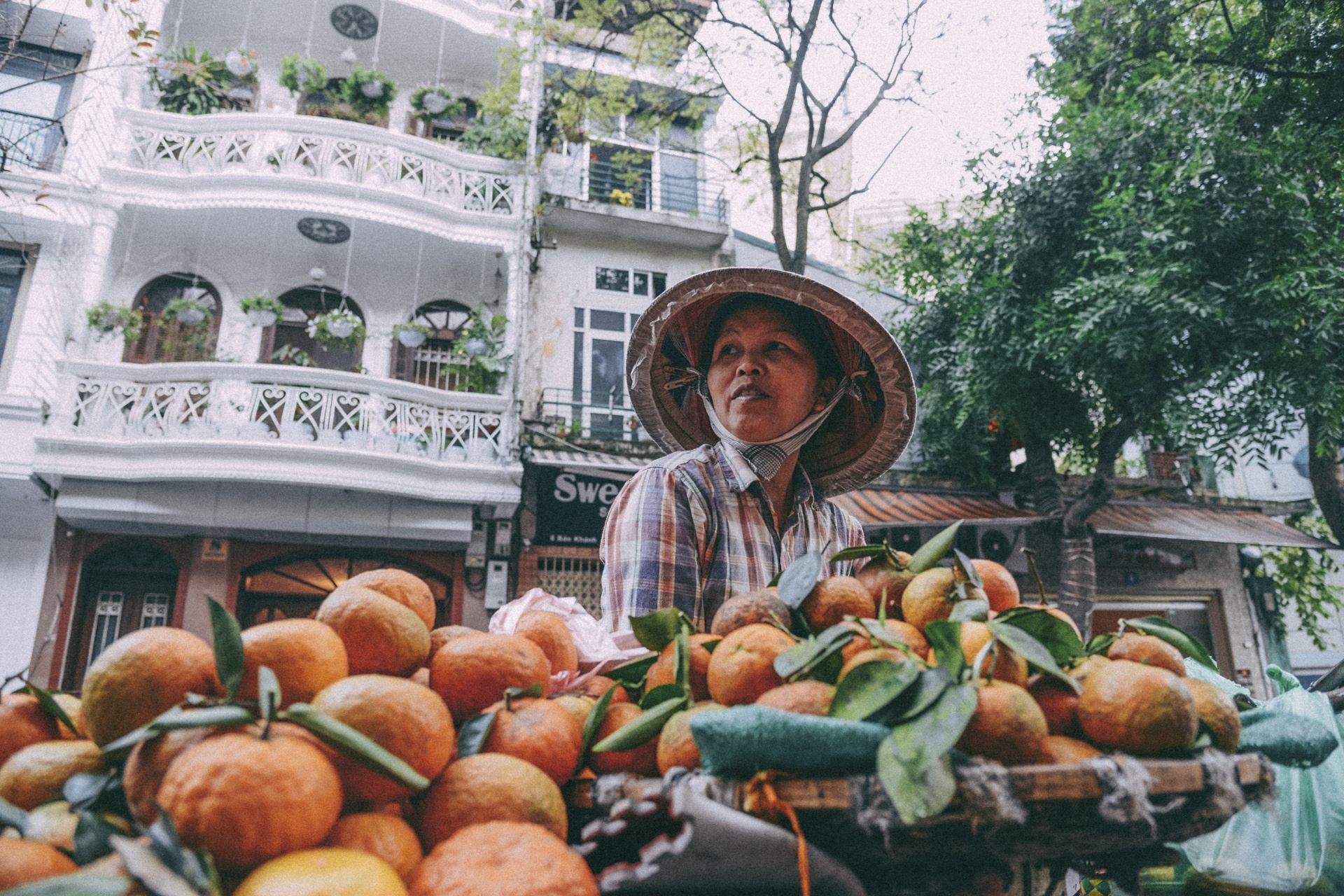 cho coc Ha Noi anh 3