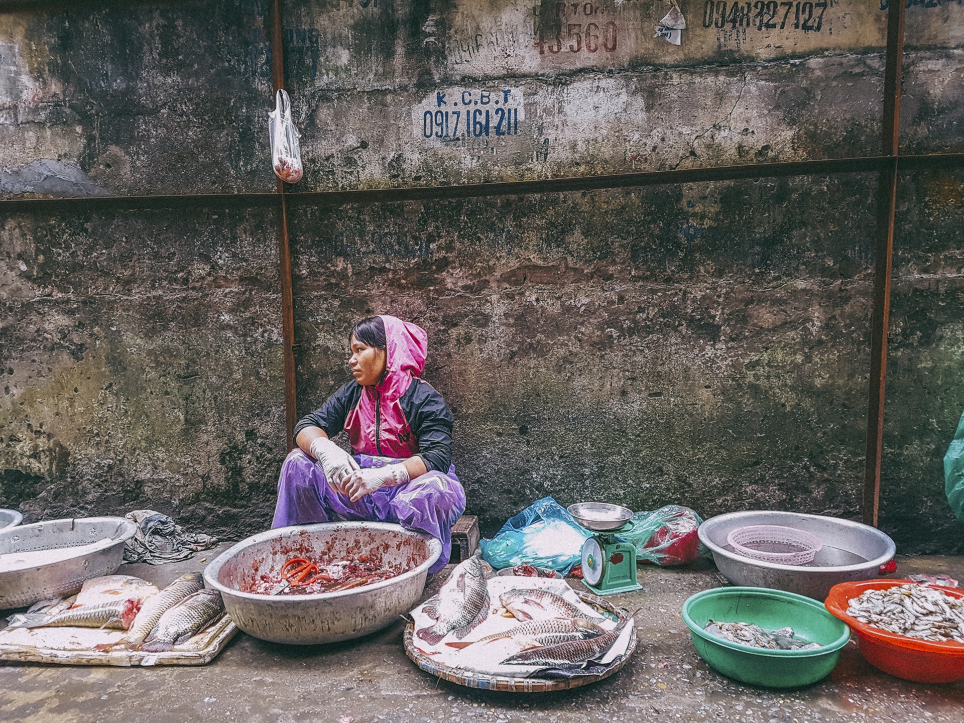 cho coc Ha Noi anh 7